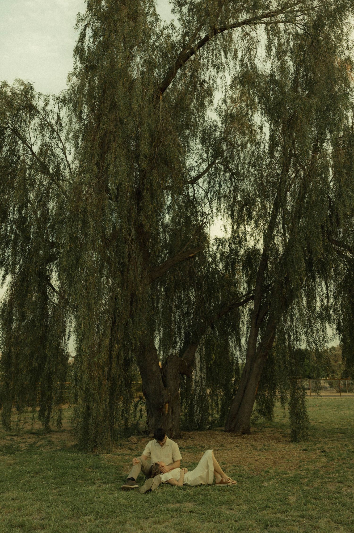 Couple sitting together on grass beneath a sprawling weeping willow tree, wearing light-colored outfits in a park.