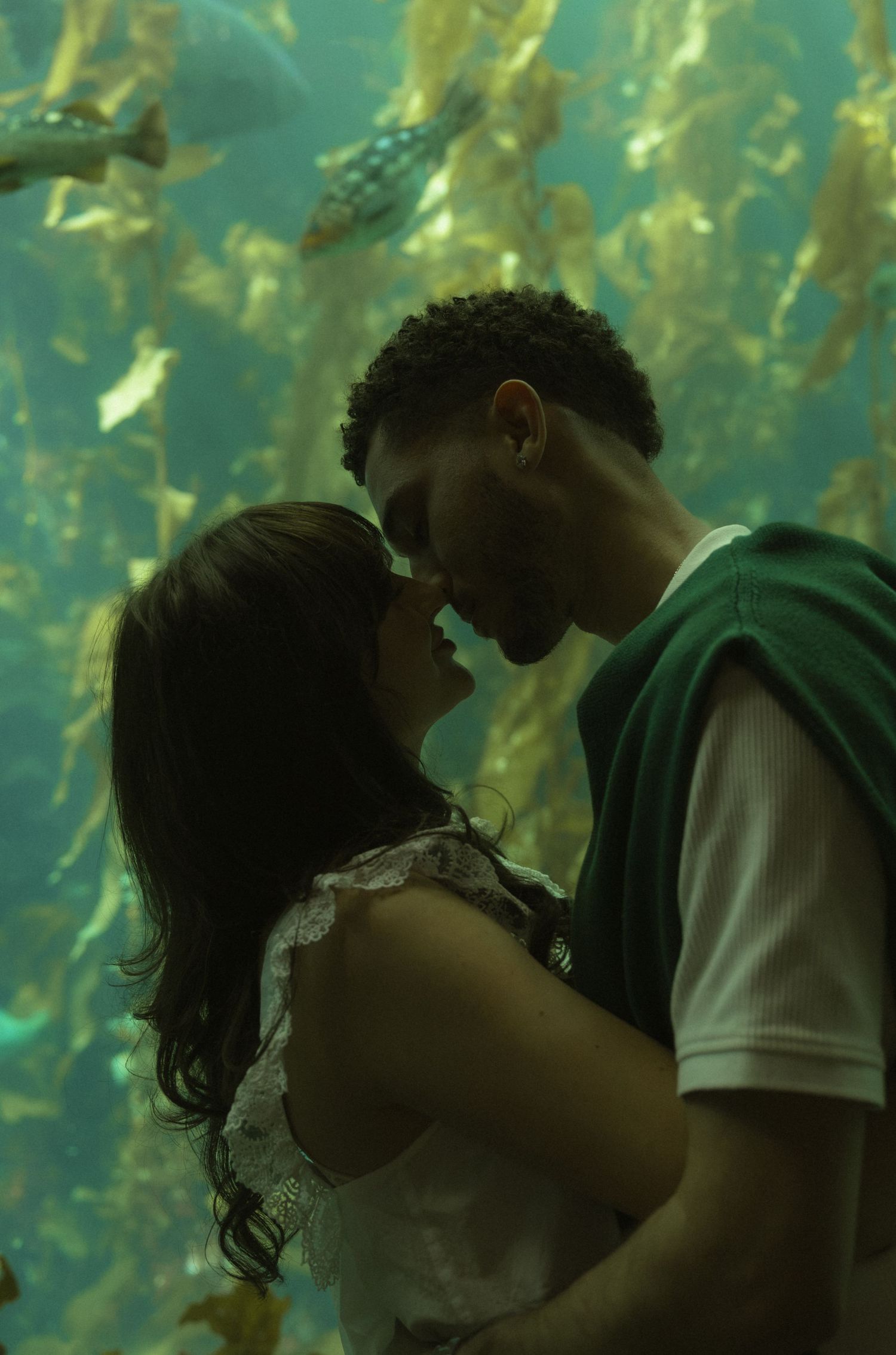 Romantic couple sharing an intimate moment in front of a large aquarium tank with kelp and fish.