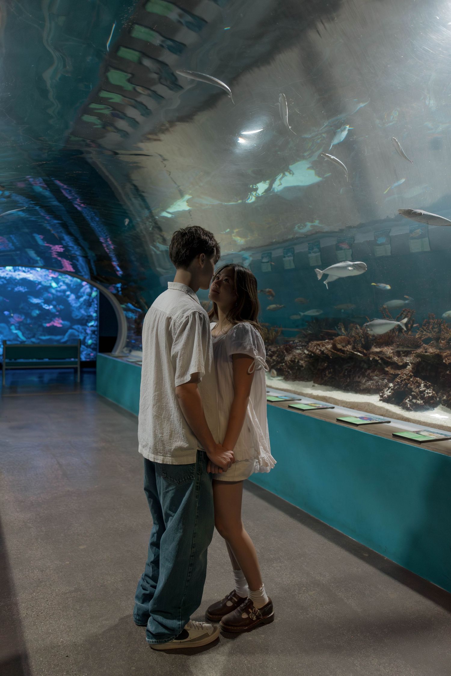 Two people share an intimate moment while viewing marine life in an aquarium tunnel.