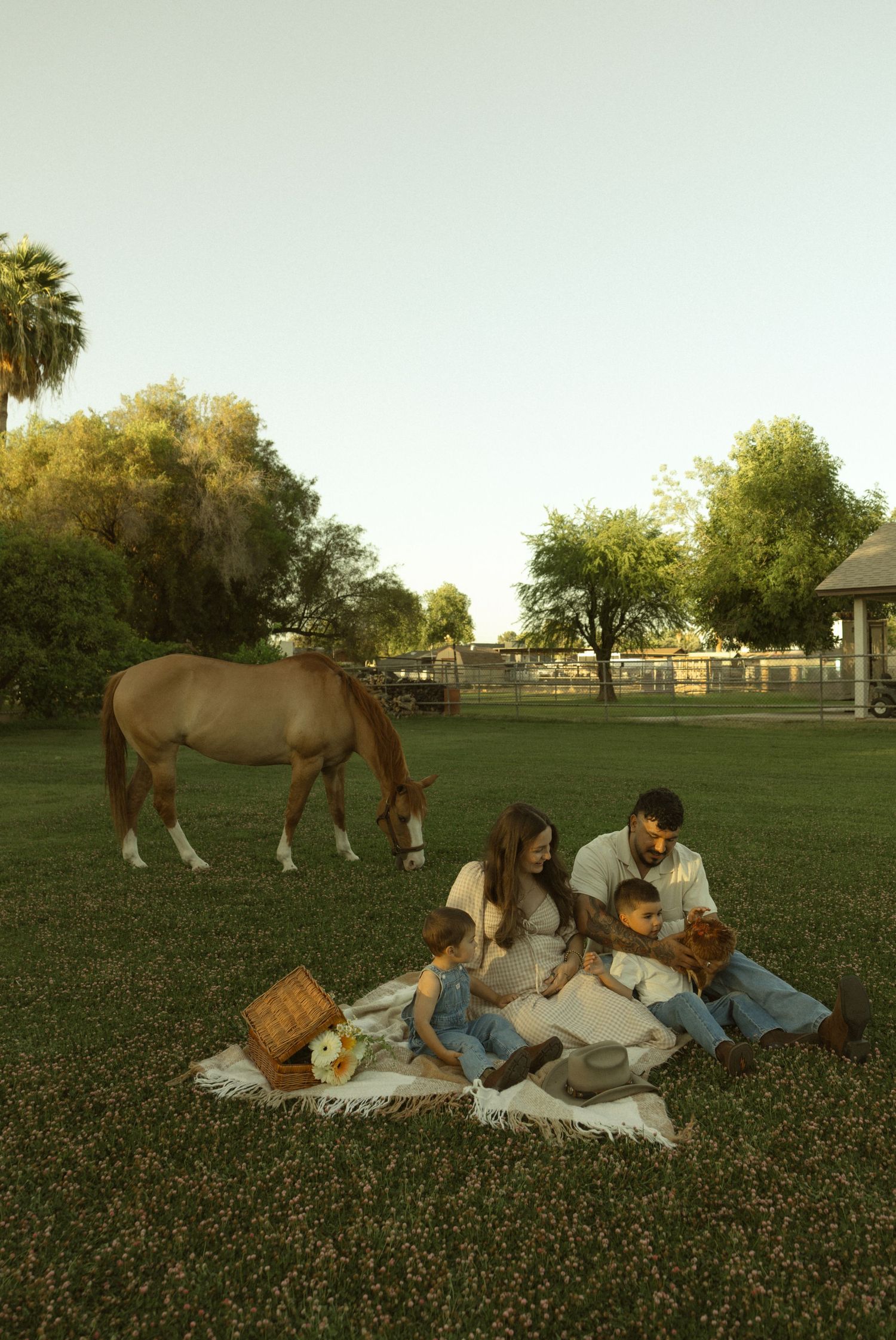 Family maternity picnic on grass with grazing horse at golden hour.