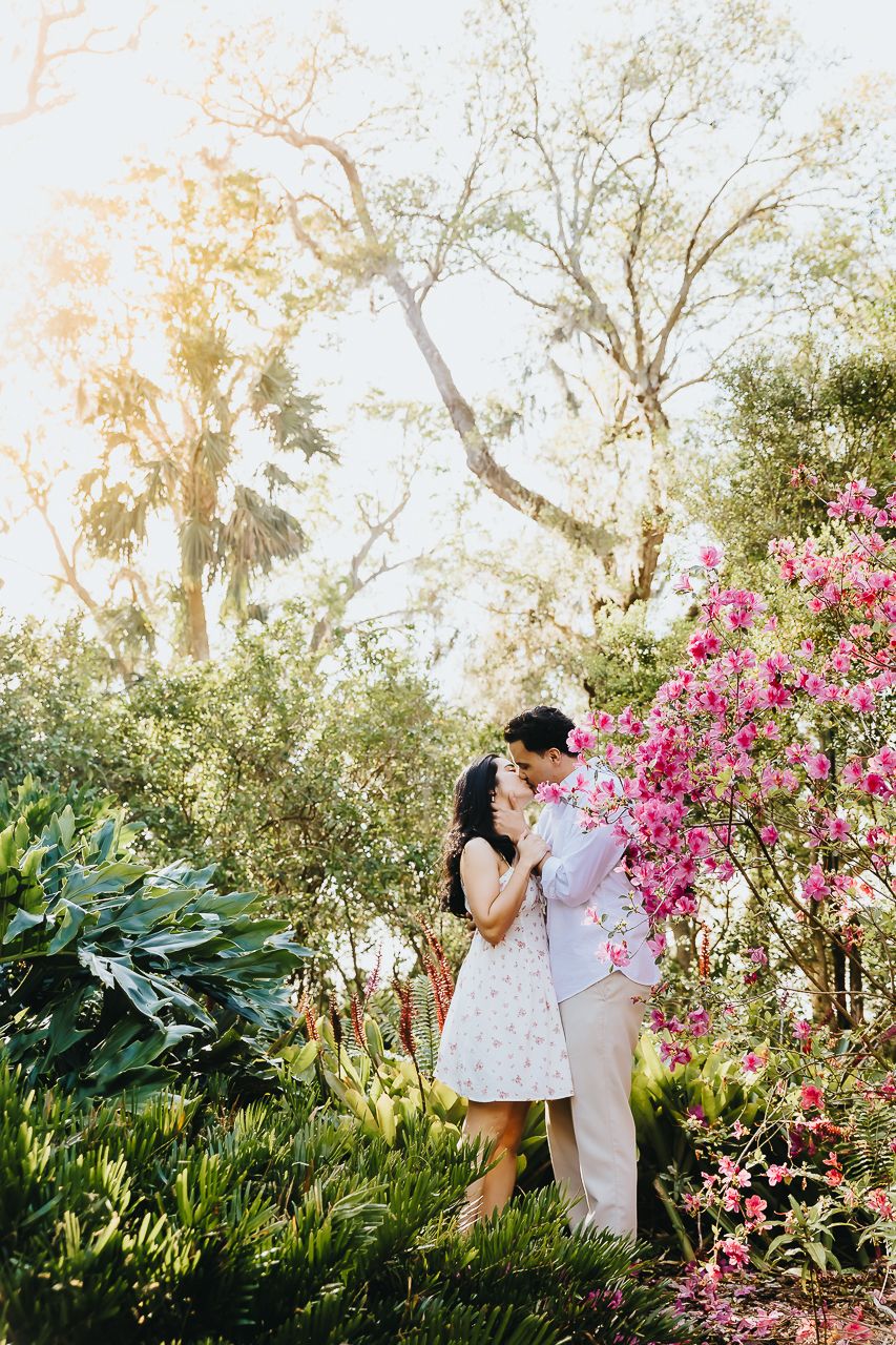 A romantic outdoor garden scene with blooming bougainvillea and tall trees in the golden afternoon sunlight.