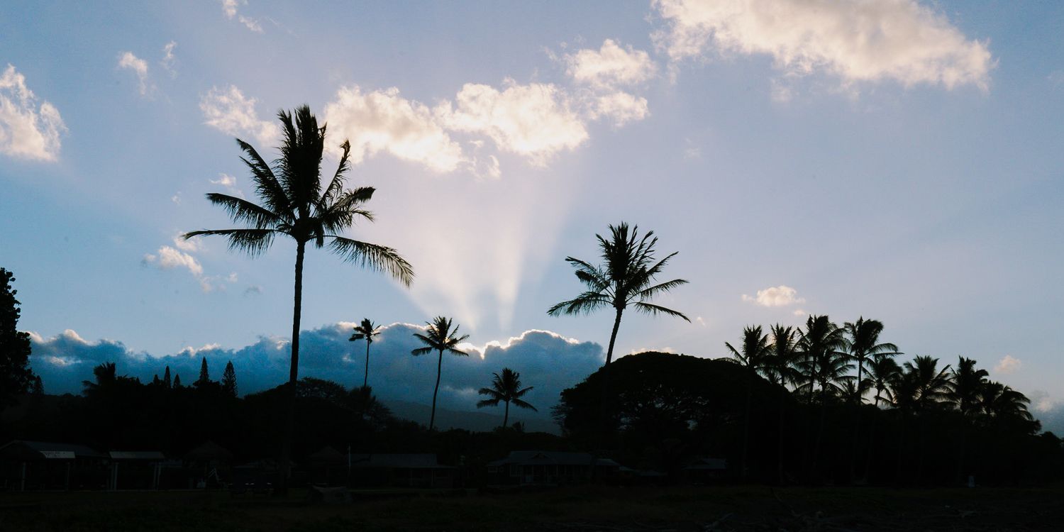Panoramic silhouette of palm trees against a cloudy tropical sunset sky.