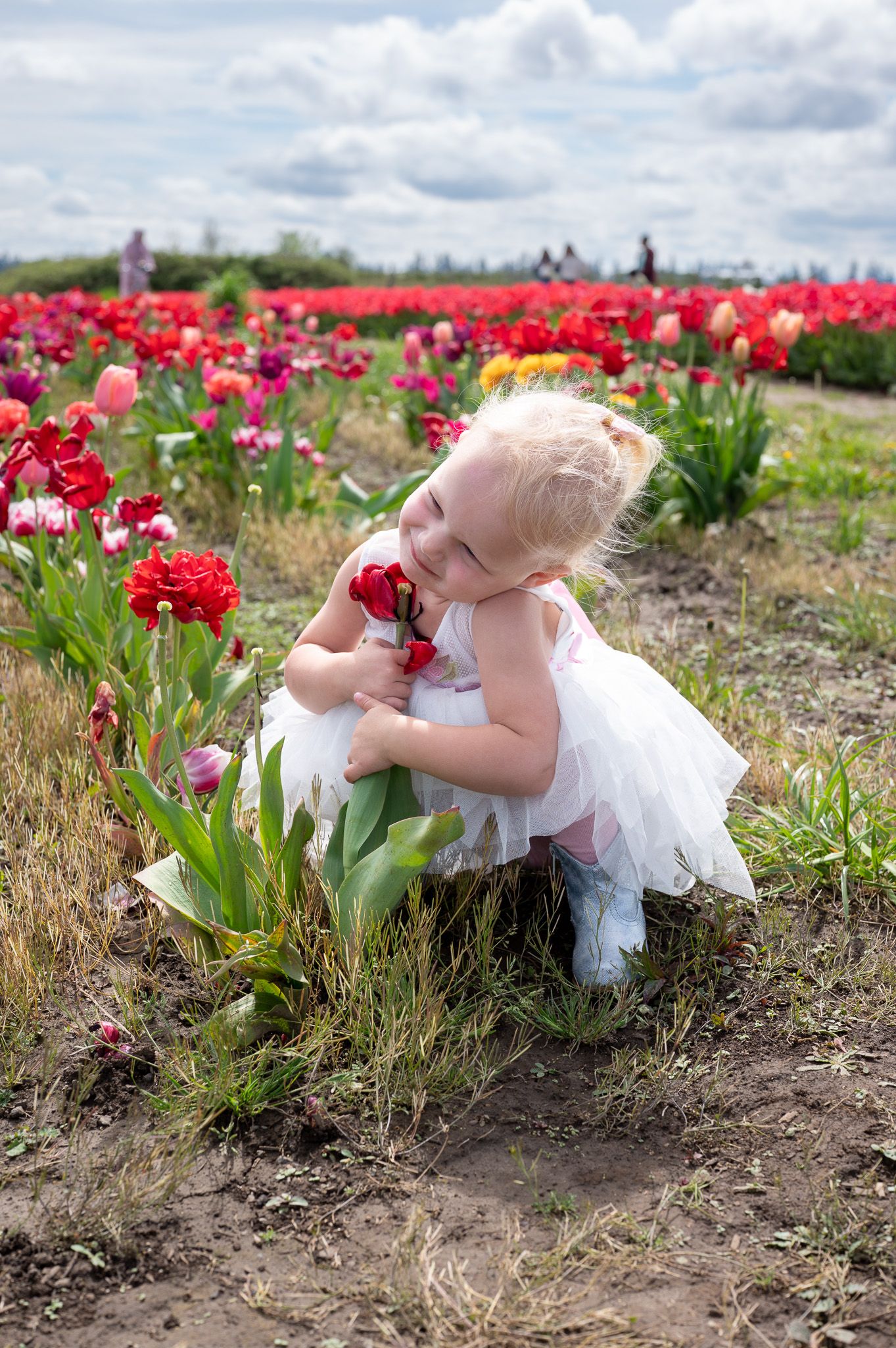 Young blonde girl in white dress hugging red tulips in a colorful flower field on a cloudy day.