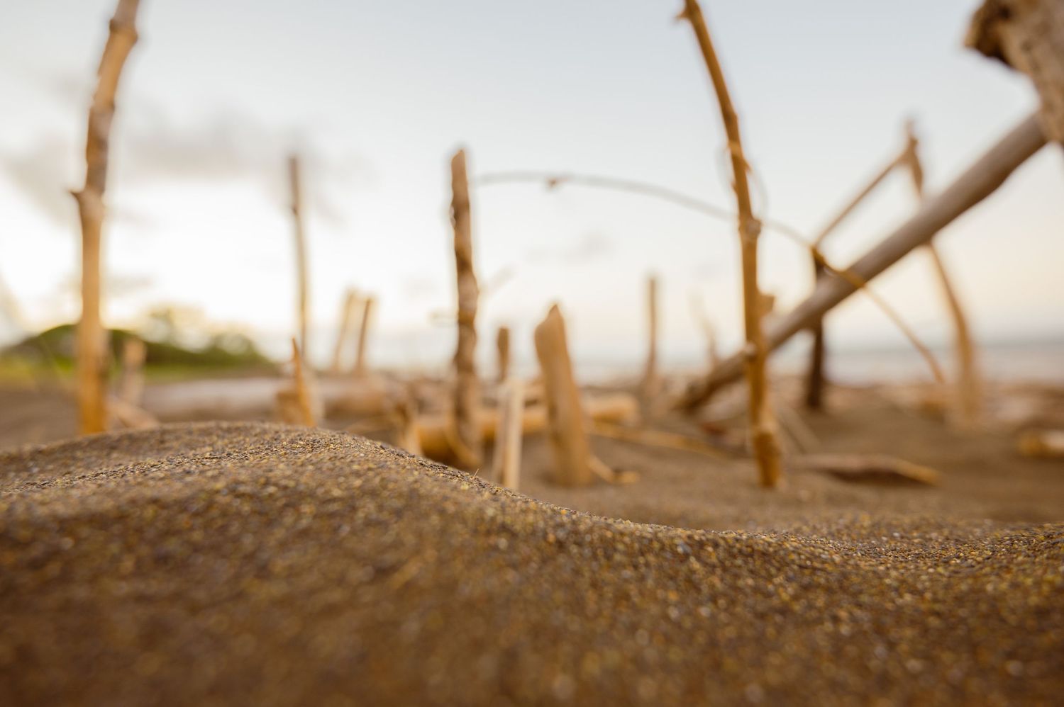 Close-up macro photography of sand grains and small twigs on a beach. Kauai, Hawaii. Landscape fine art photography.