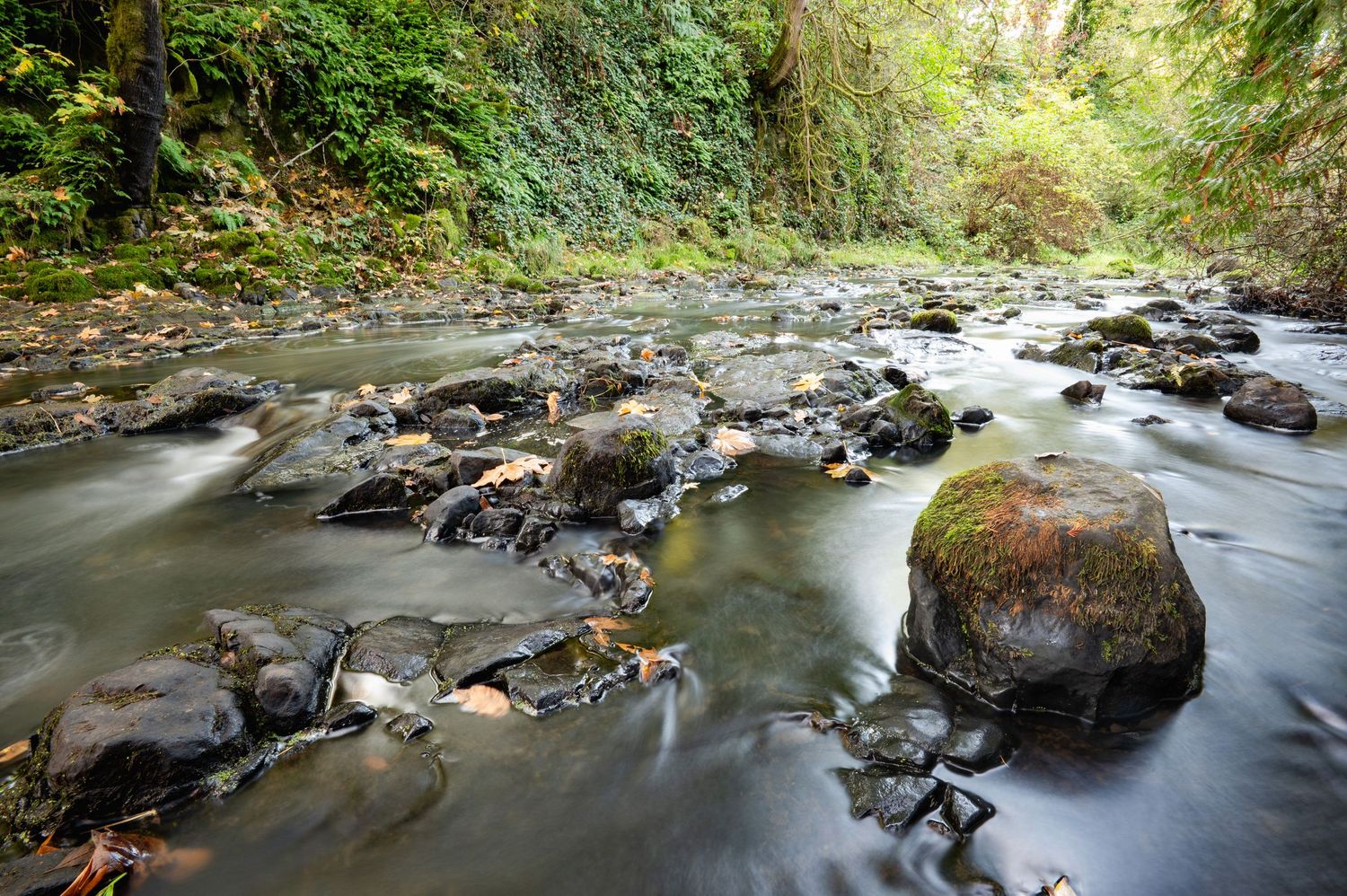 Serene forest stream flowing over moss-covered rocks in long exposure photography. Oregon. Landscape fine art photography.