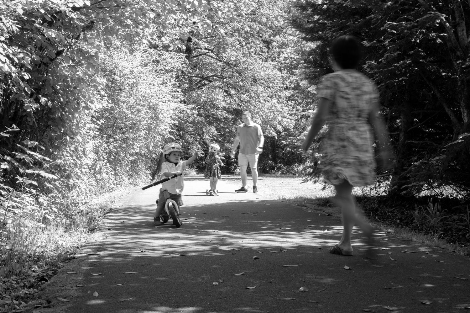 Black and white photo of people walking along tree-lined path. Family session. Portrait photography. Oregon.