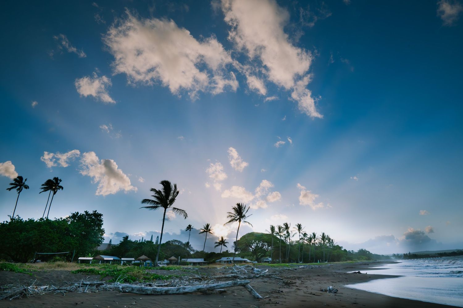 Tropical beach landscape with palm trees and cloudy blue sky at sunset.