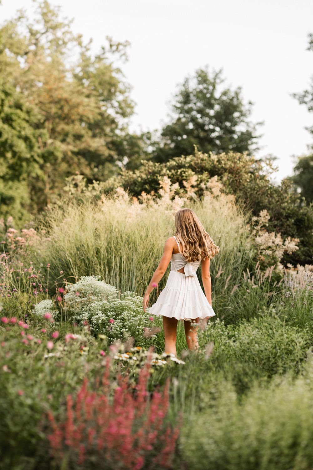 Beautiful wildflower garden with pink blooms and natural landscaping.