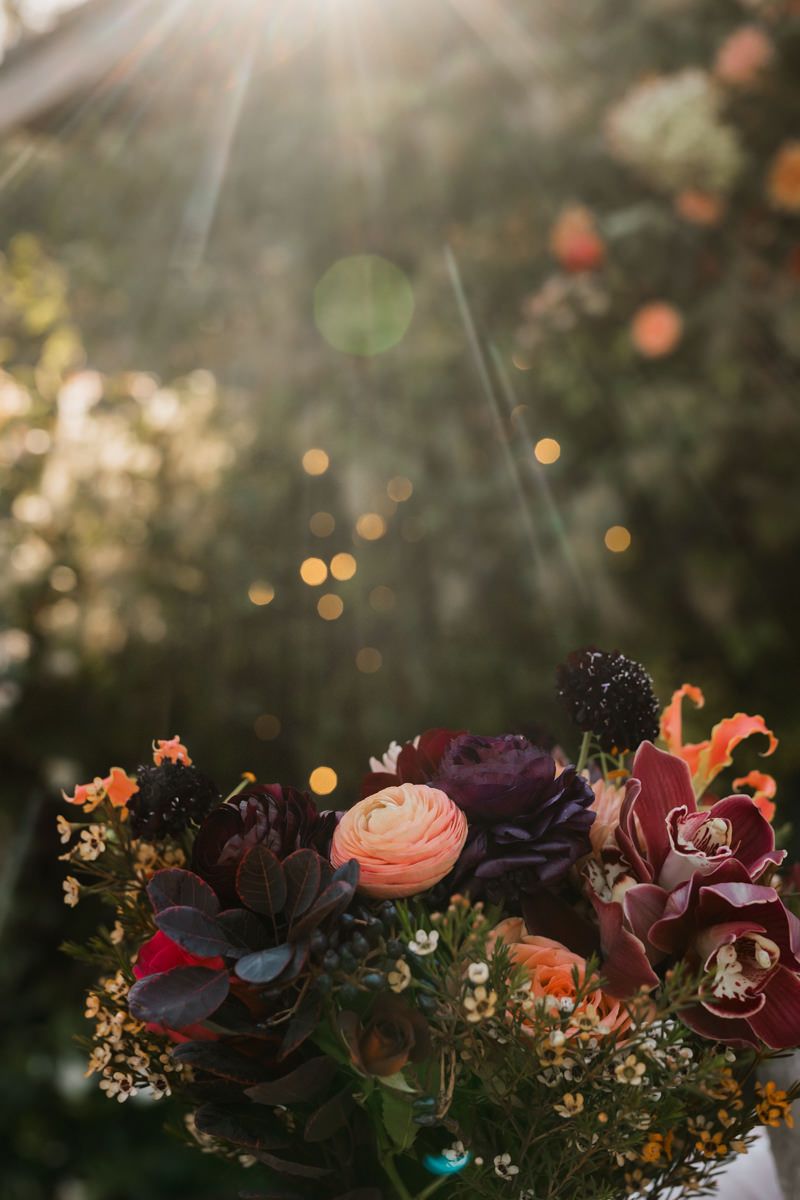 A romantic floral arrangement with pink and burgundy blooms backlit by golden sunlight and bokeh effects.