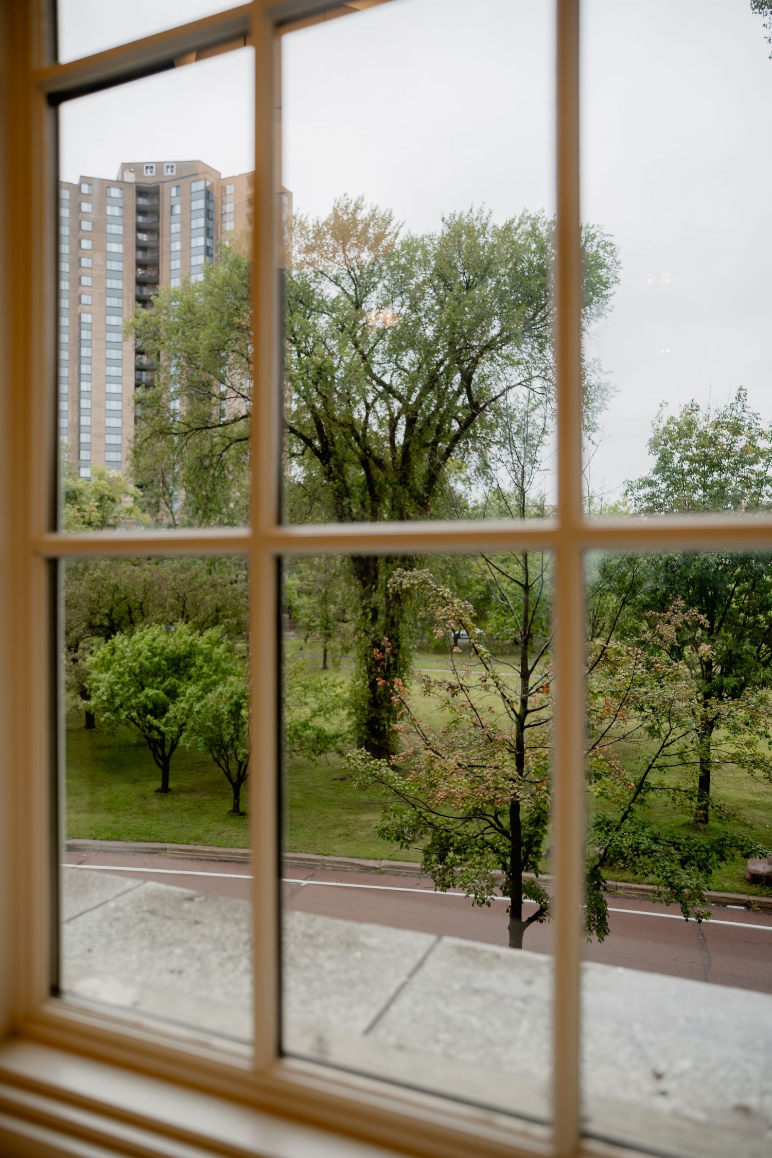 View through a wooden-framed window overlooking a lush green park with trees and a tall residential building.
