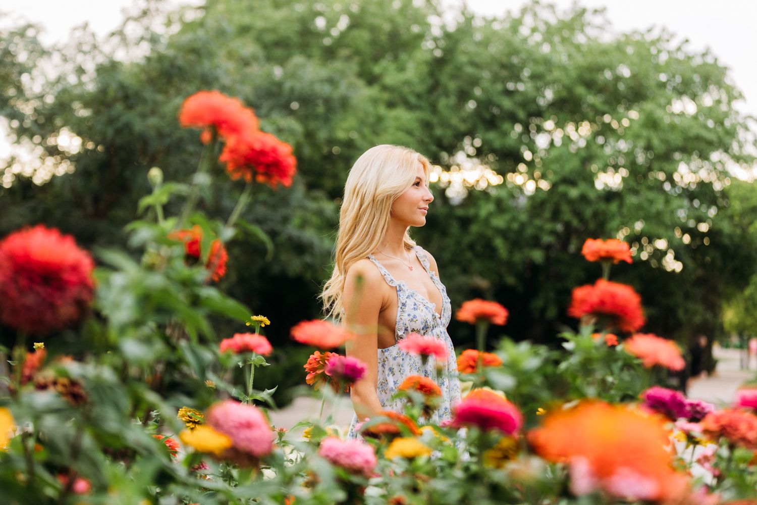 Red poppies bloom vibrantly in a garden setting as a person in a floral dress strolls through the flowers.
