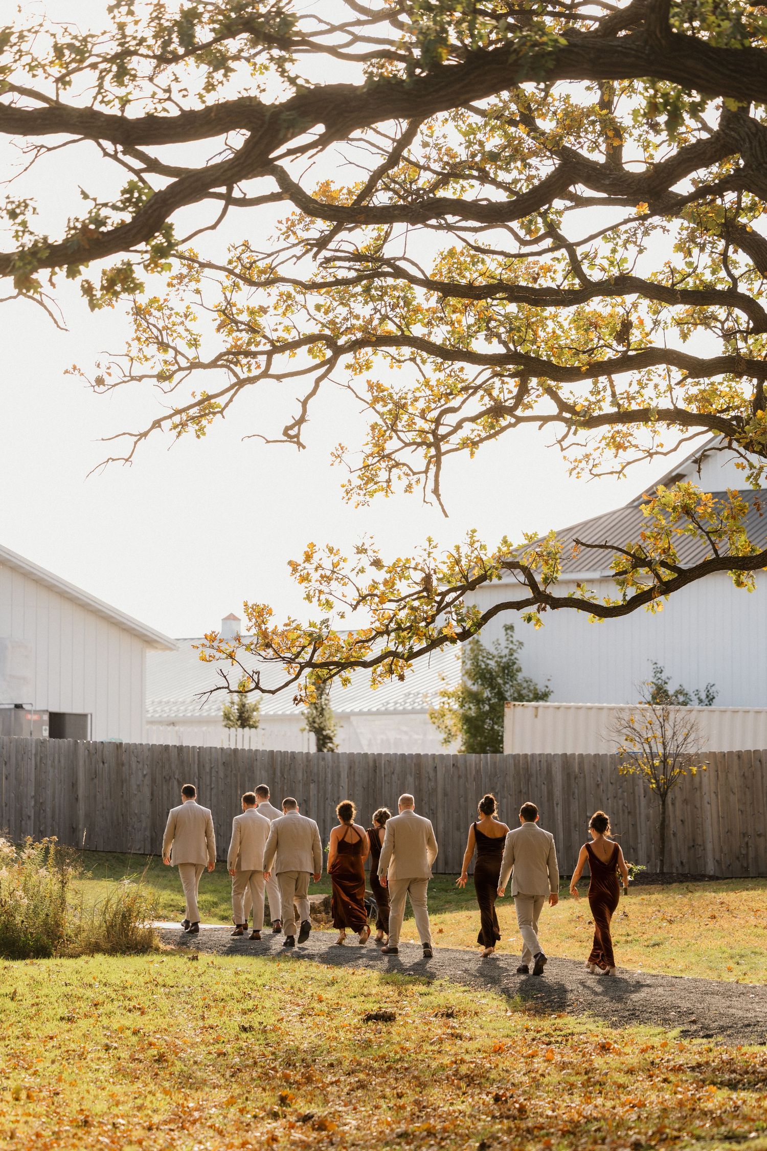 Wedding party in tan suits and rust dresses walks along a gravel path beneath an autumn tree toward white farm buildings.
