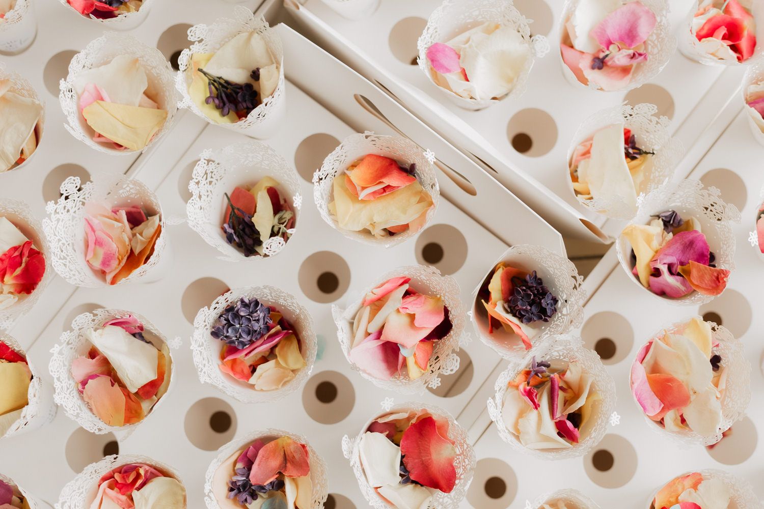 Colorful dried flower petals arranged in a circular pattern within white plastic ice cube trays.