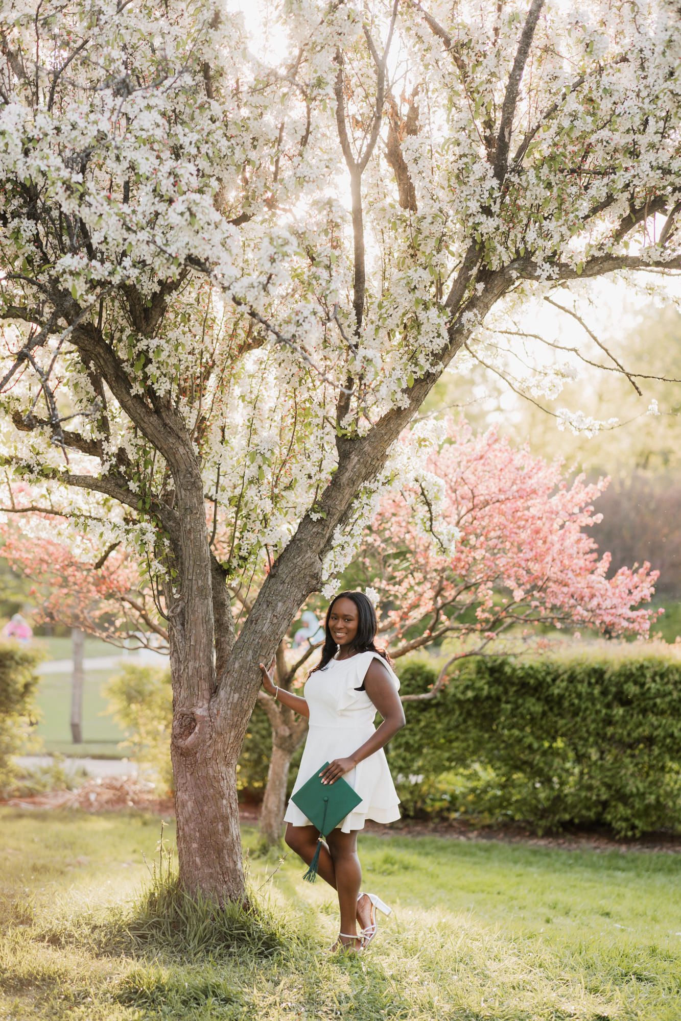 Young woman in white dress poses by blooming white cherry tree in sunlit park during spring.