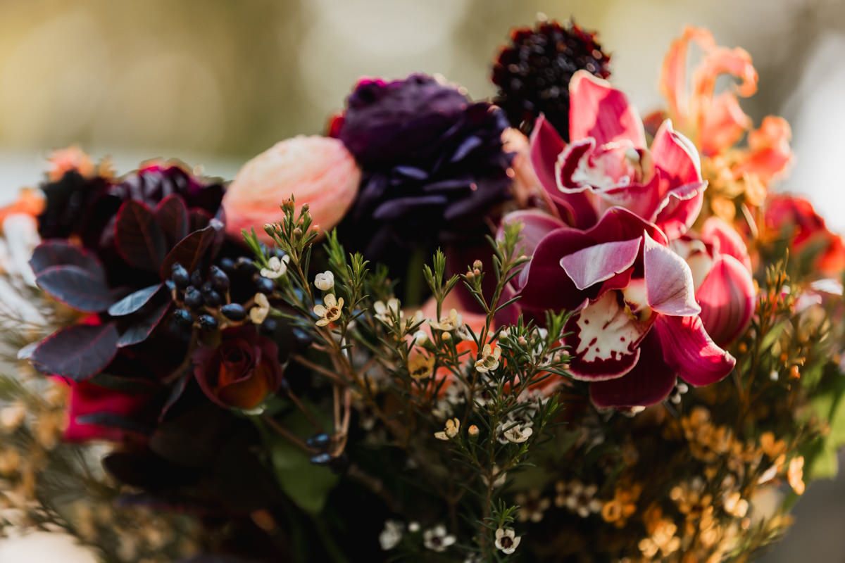 A close-up view of pink and purple flowers with golden sunlight streaming through delicate petals.