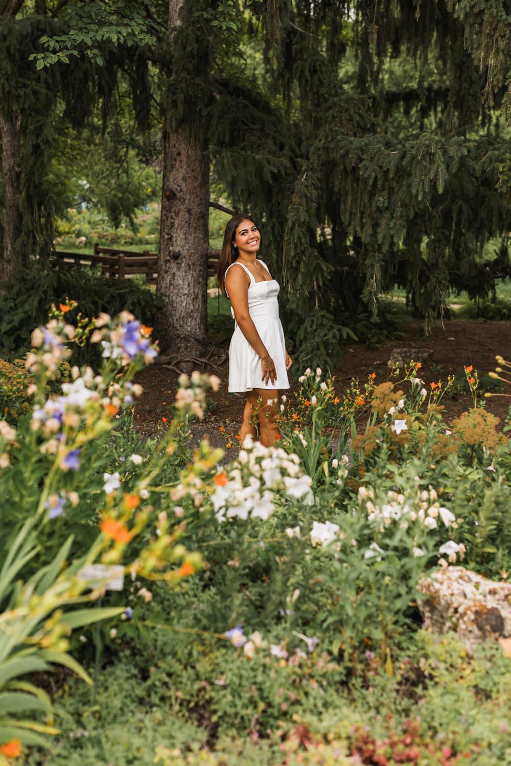 Floral garden scene with orange and purple blooms amidst green foliage and tall evergreen trees.