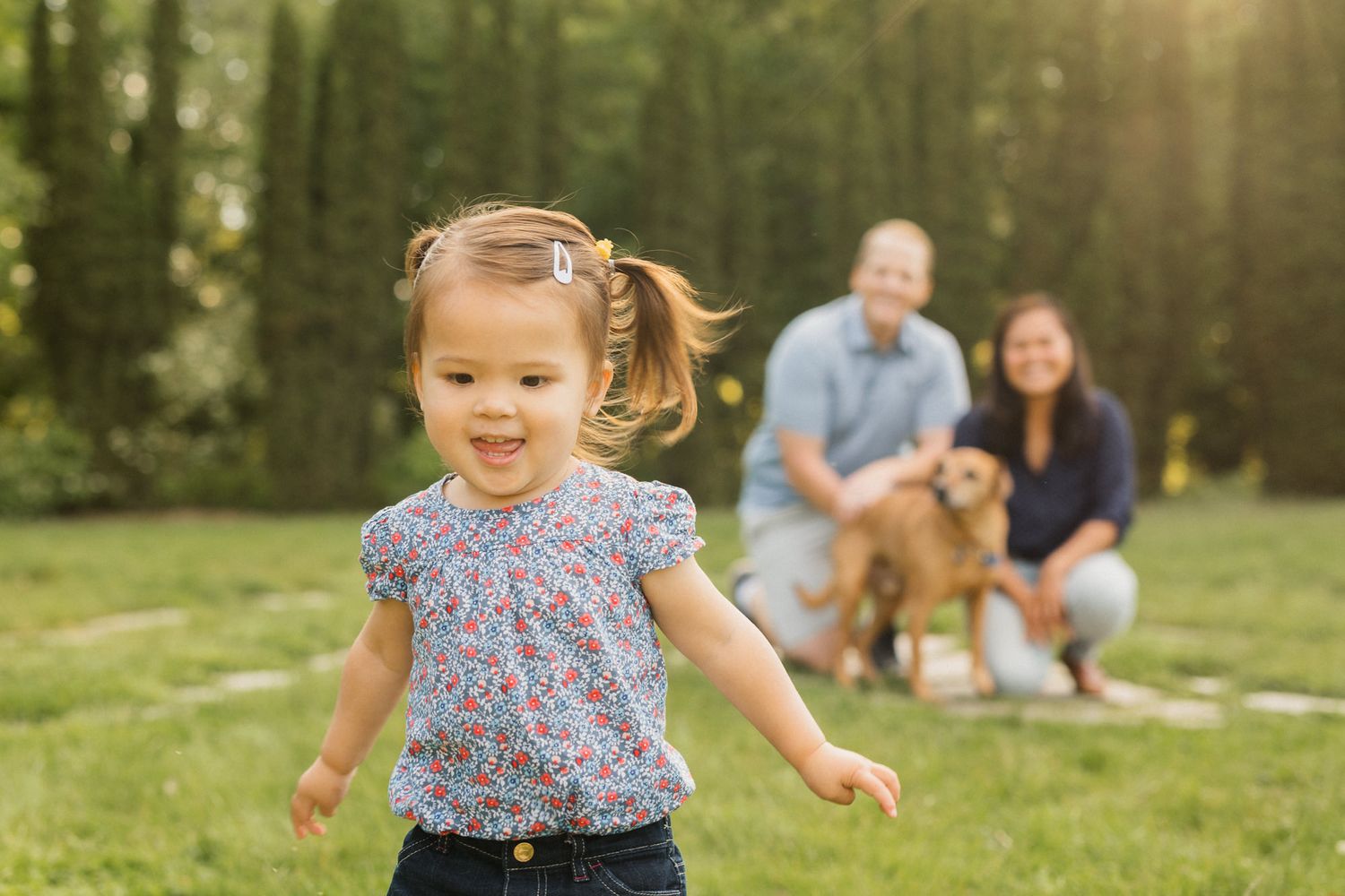 A toddler girl runs on green grass while her parents and golden retriever sit smiling in a sunny backyard.