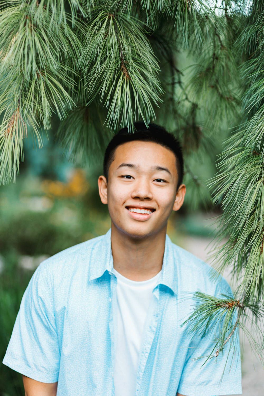 Portrait in nature with pine needles framing subject wearing light blue shirt against blurred green background.