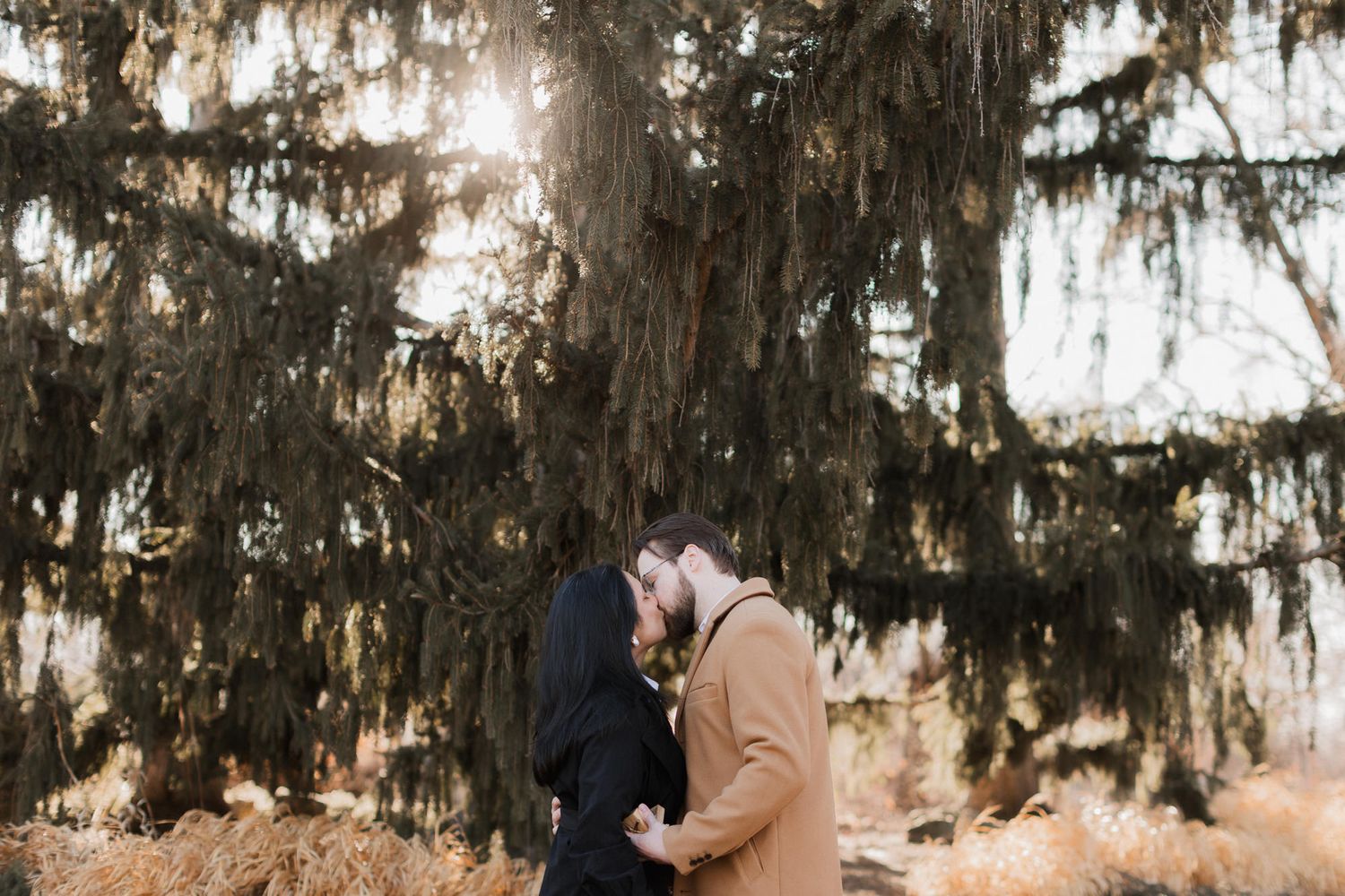 Romantic couple sharing a kiss under large evergreen trees in a sunlit outdoor setting.
