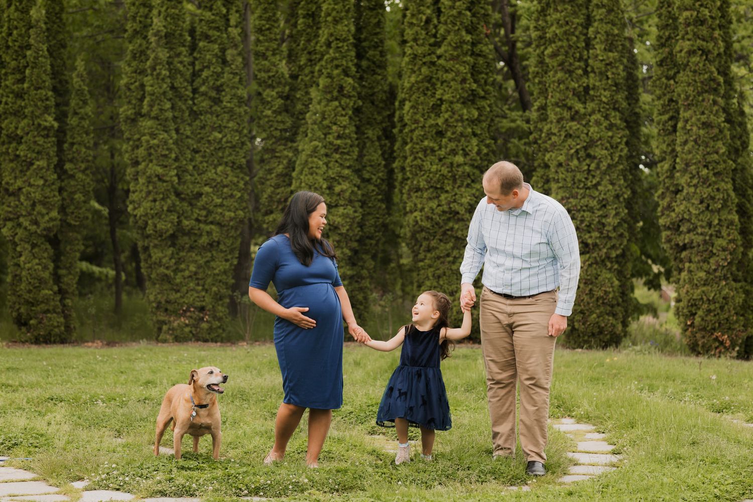 Pregnant woman in blue dress walks with husband, daughter, and dog on garden path lined with tall green hedges.
