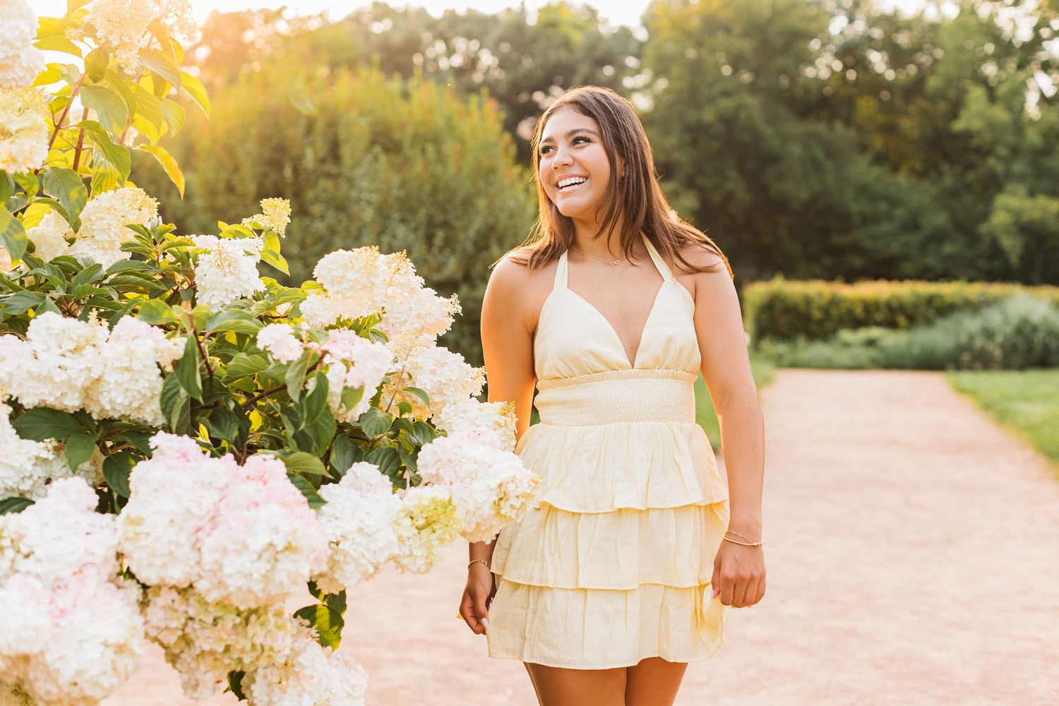 A warm sunset scene in a garden with blooming white roses along a walking path during golden hour.