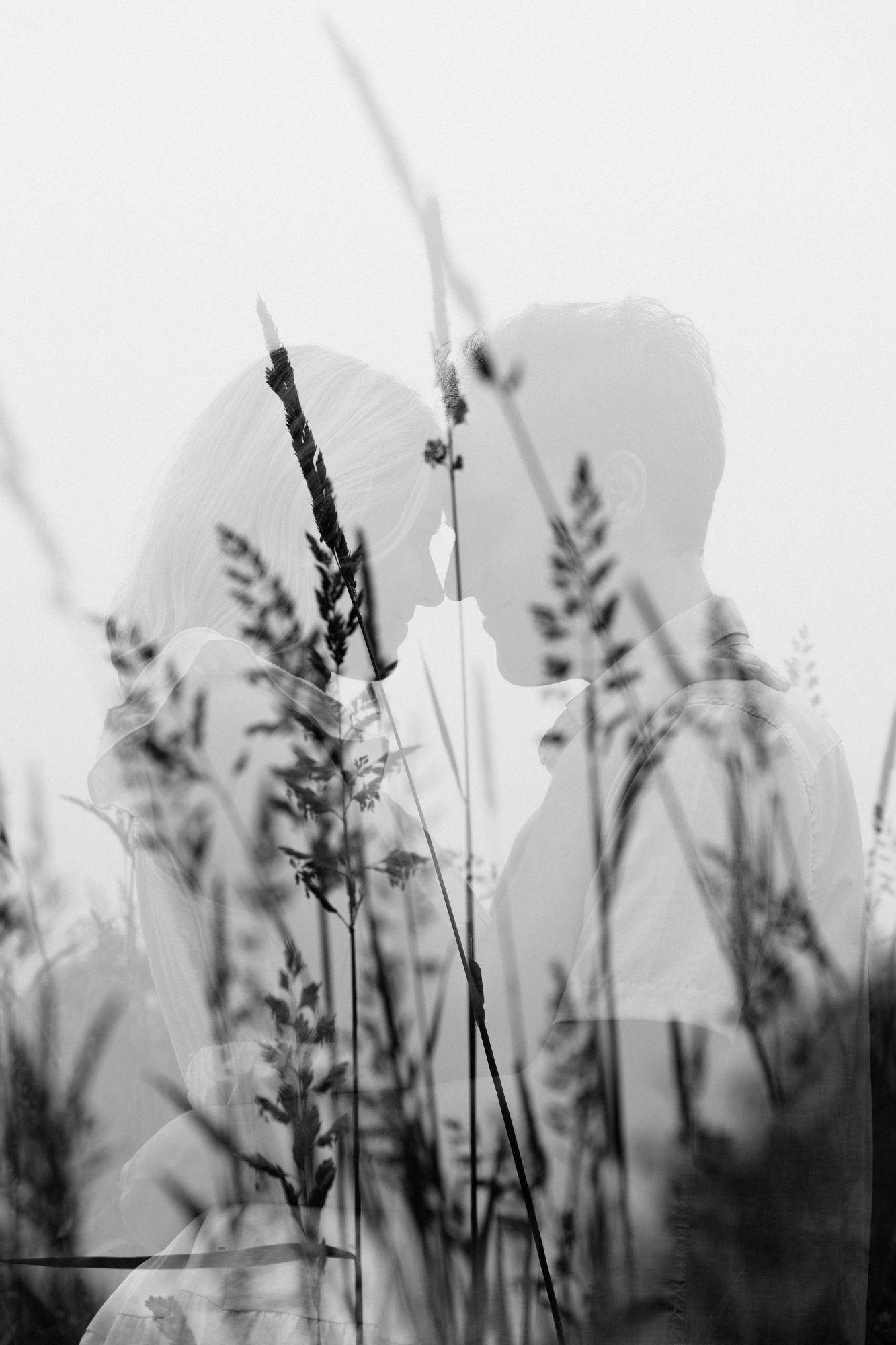 Black and white double exposure of a couple kissing silhouetted against wild grass and wheat stalks.