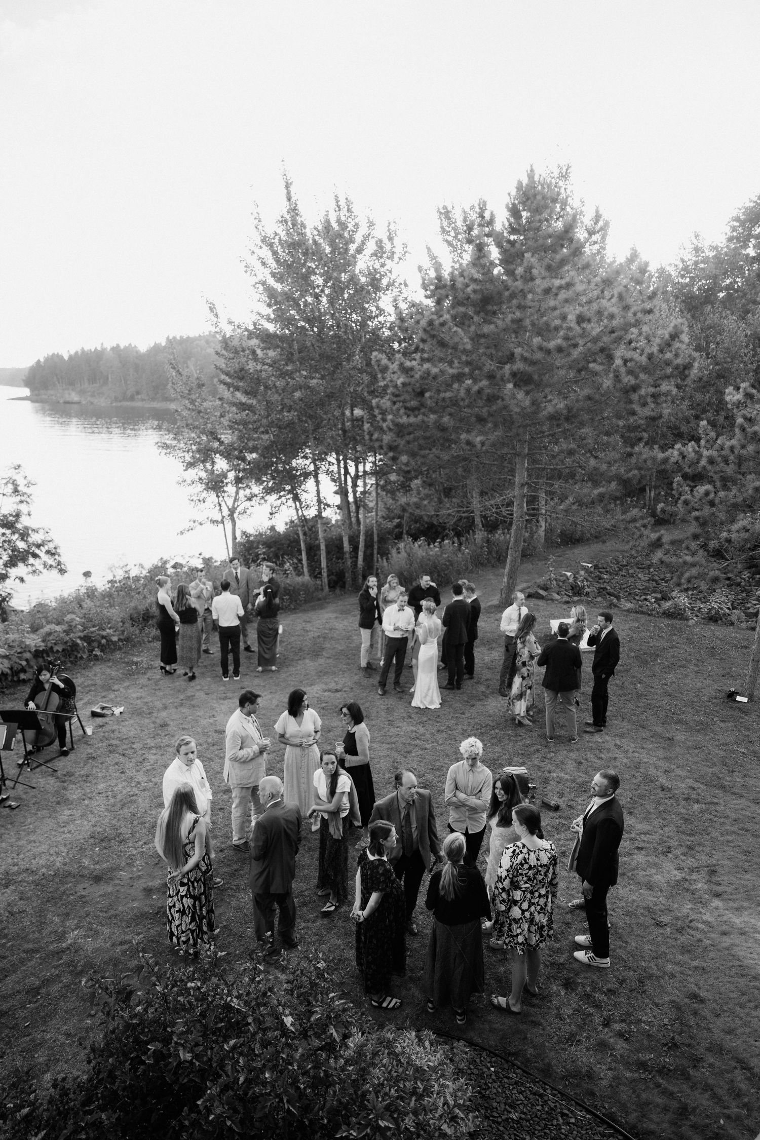Black and white aerial photo of wedding guests mingling outdoors near a river surrounded by tall trees.