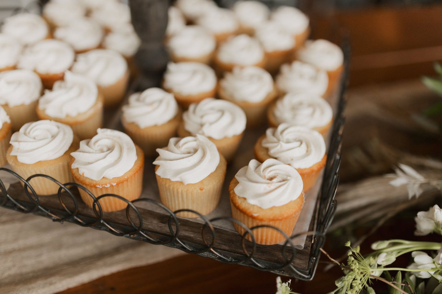A row of freshly baked vanilla cupcakes with swirled white frosting displayed on a dark wooden surface.