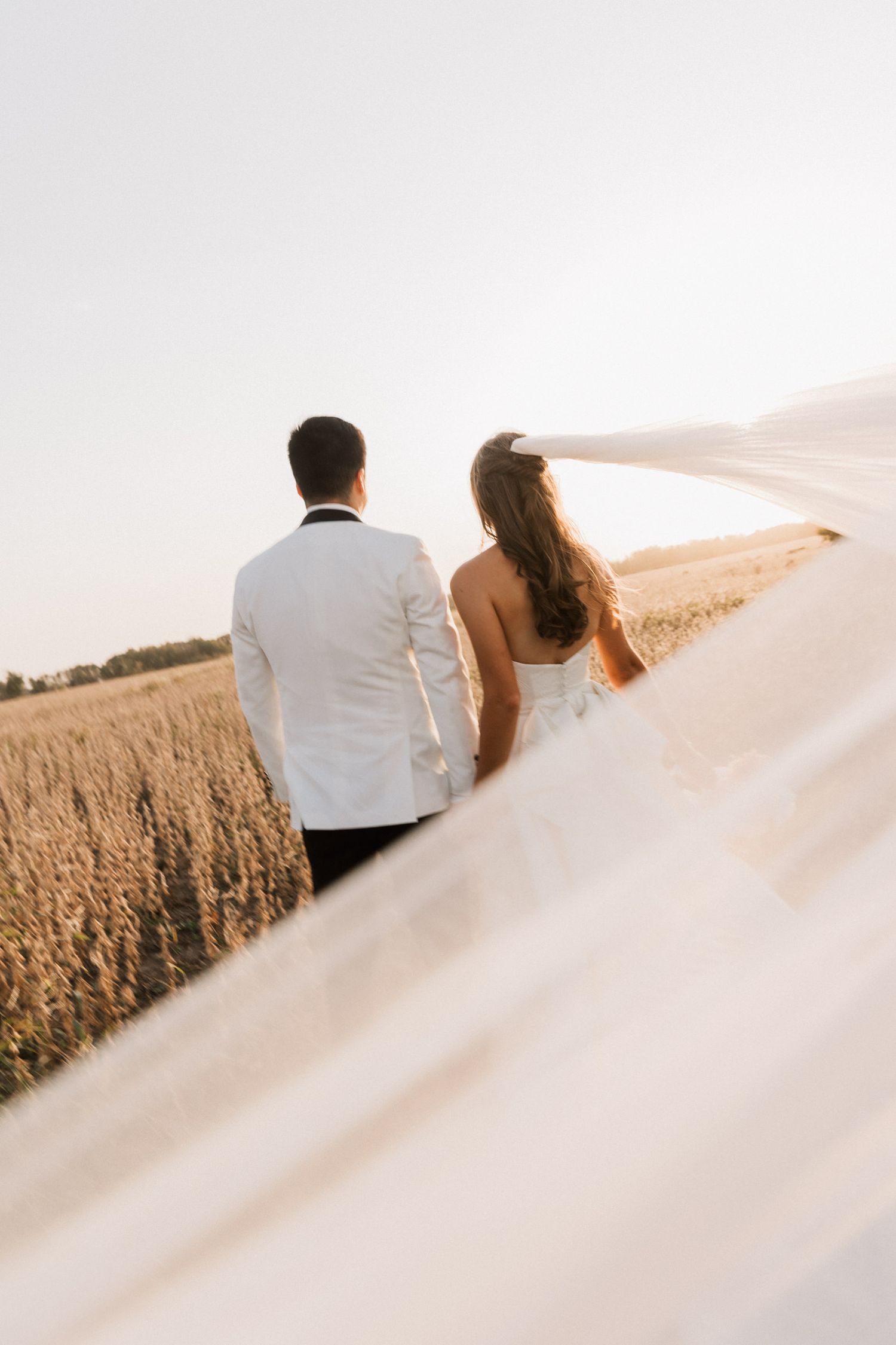 A bride and groom walk hand in hand through a golden wheat field, her veil flowing in the wind.