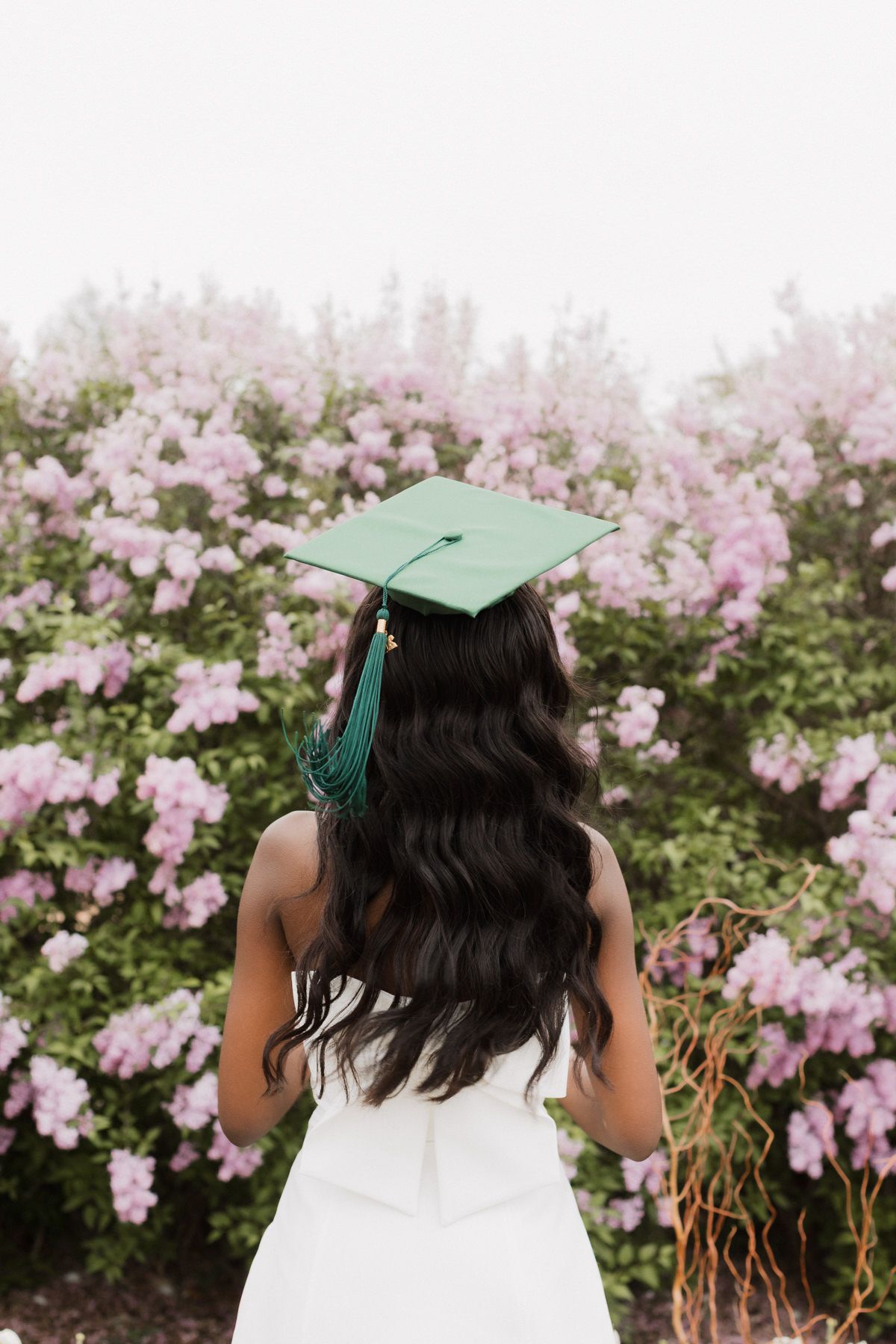 Young woman in white dress and green graduation cap standing before blooming pink lilac bushes.