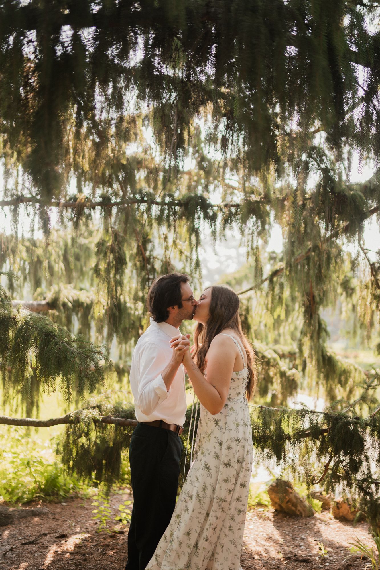 Couple sharing a romantic kiss under hanging evergreen tree branches in golden sunlight during outdoor engagement session.