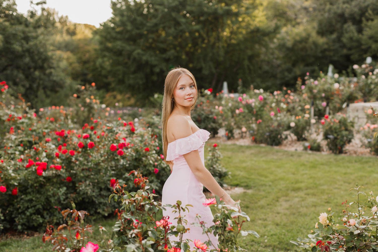 A person in a pink dress walks through a lush garden filled with vibrant red roses and greenery on a sunny day.