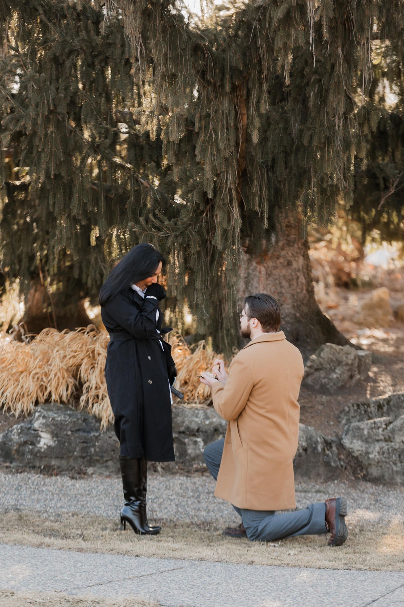 Man kneeling on one knee proposing to woman in black coat outdoors under evergreen tree in winter.