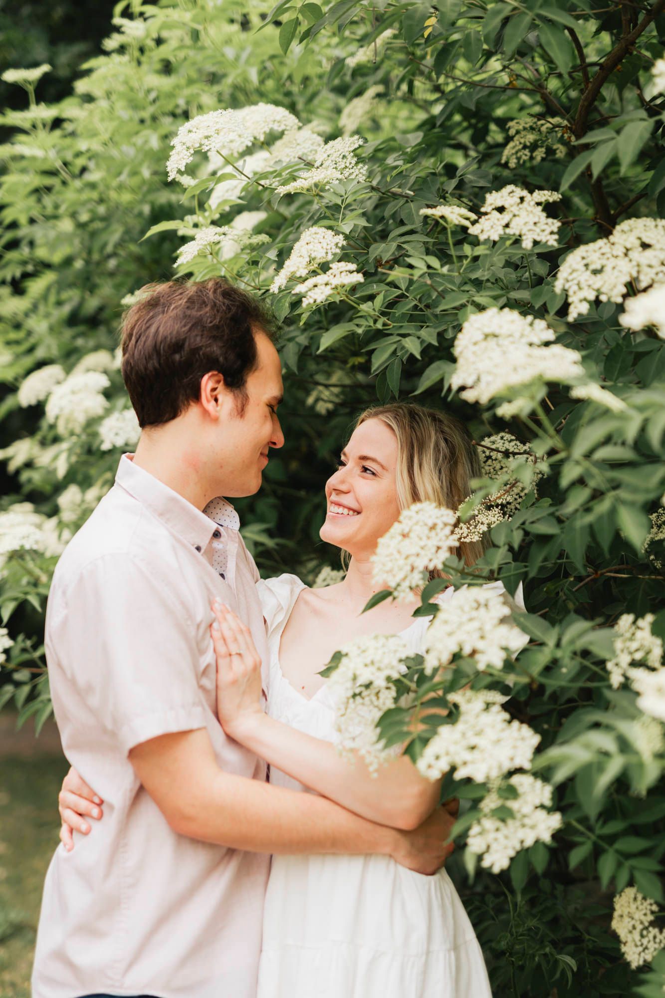 Romantic moment captured among blooming white elderflower bushes in garden setting.