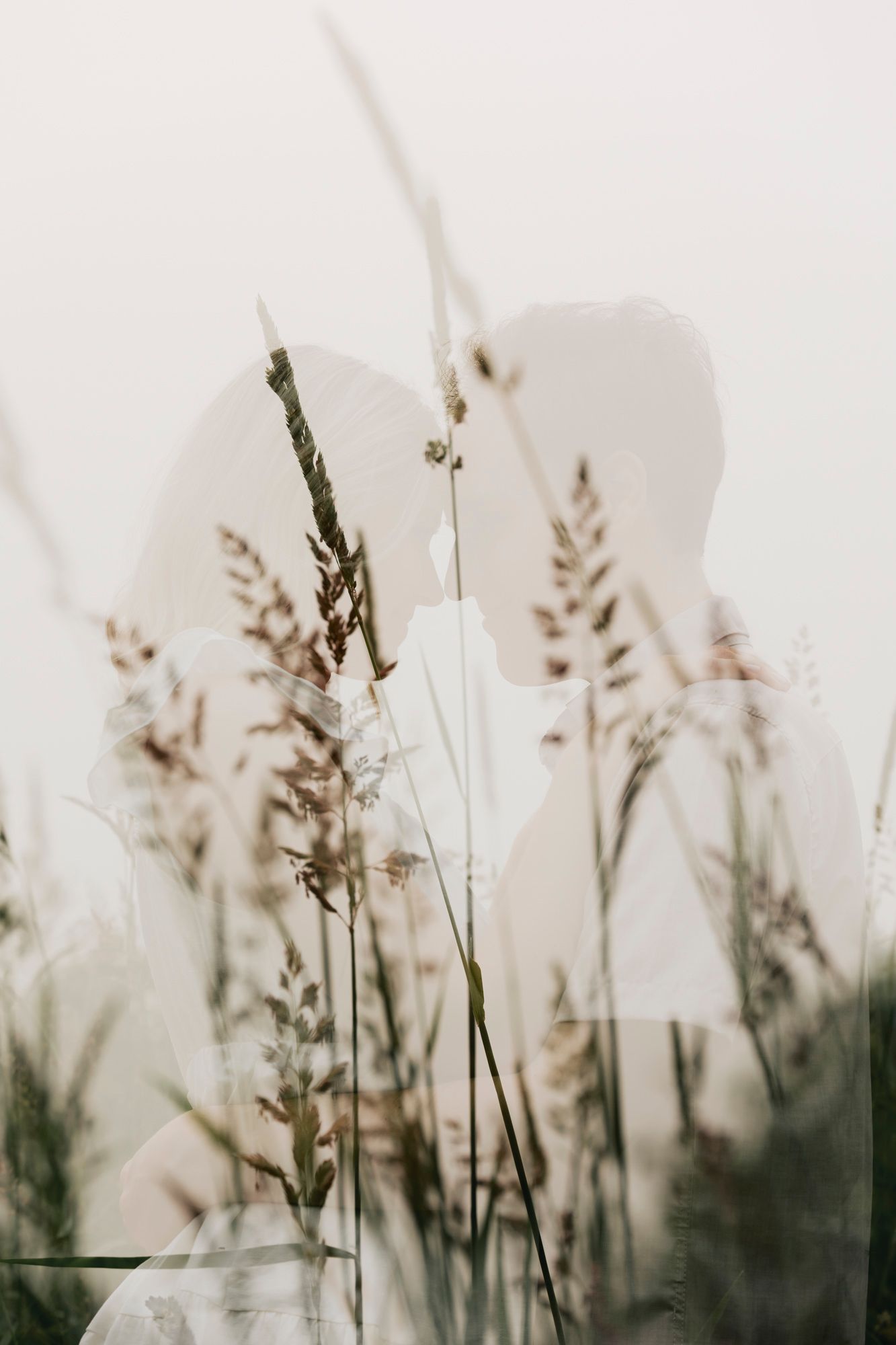 Silhouette of tall grass against bright white background in dreamy nature setting.