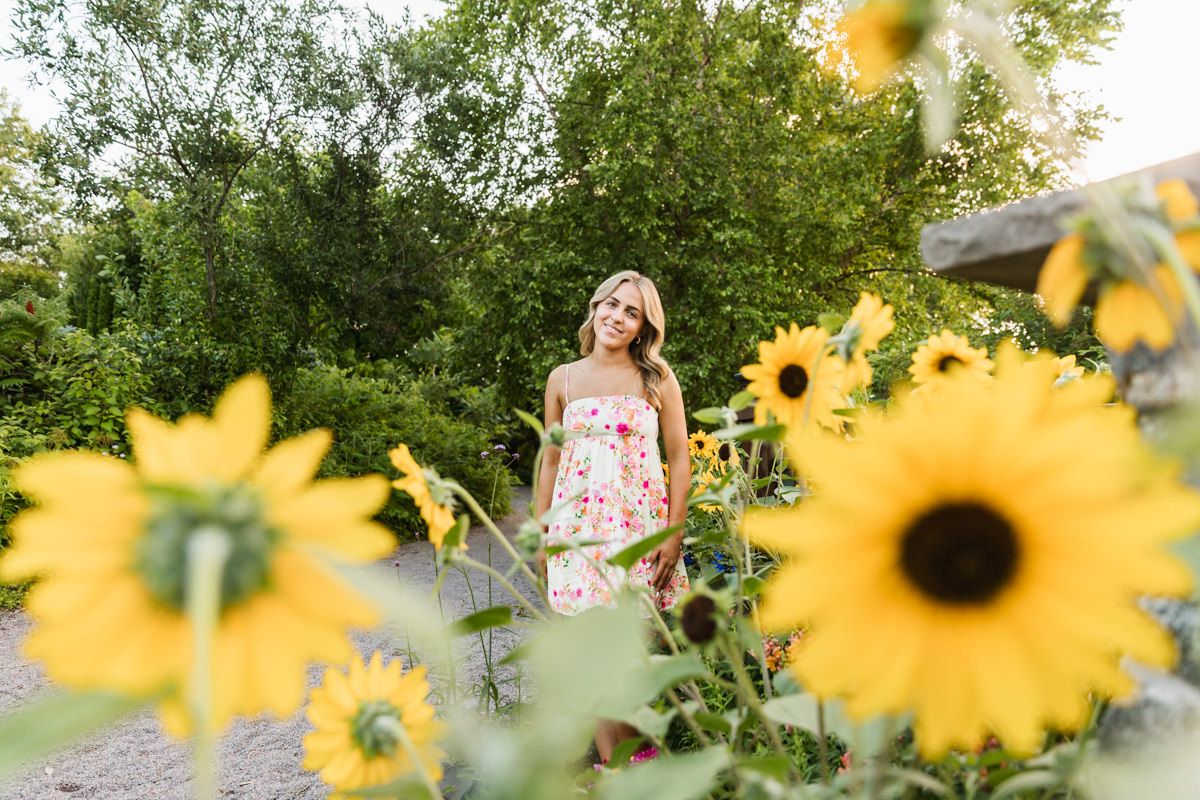 Bright yellow sunflowers bloom in a summer garden creating a cheerful natural backdrop.