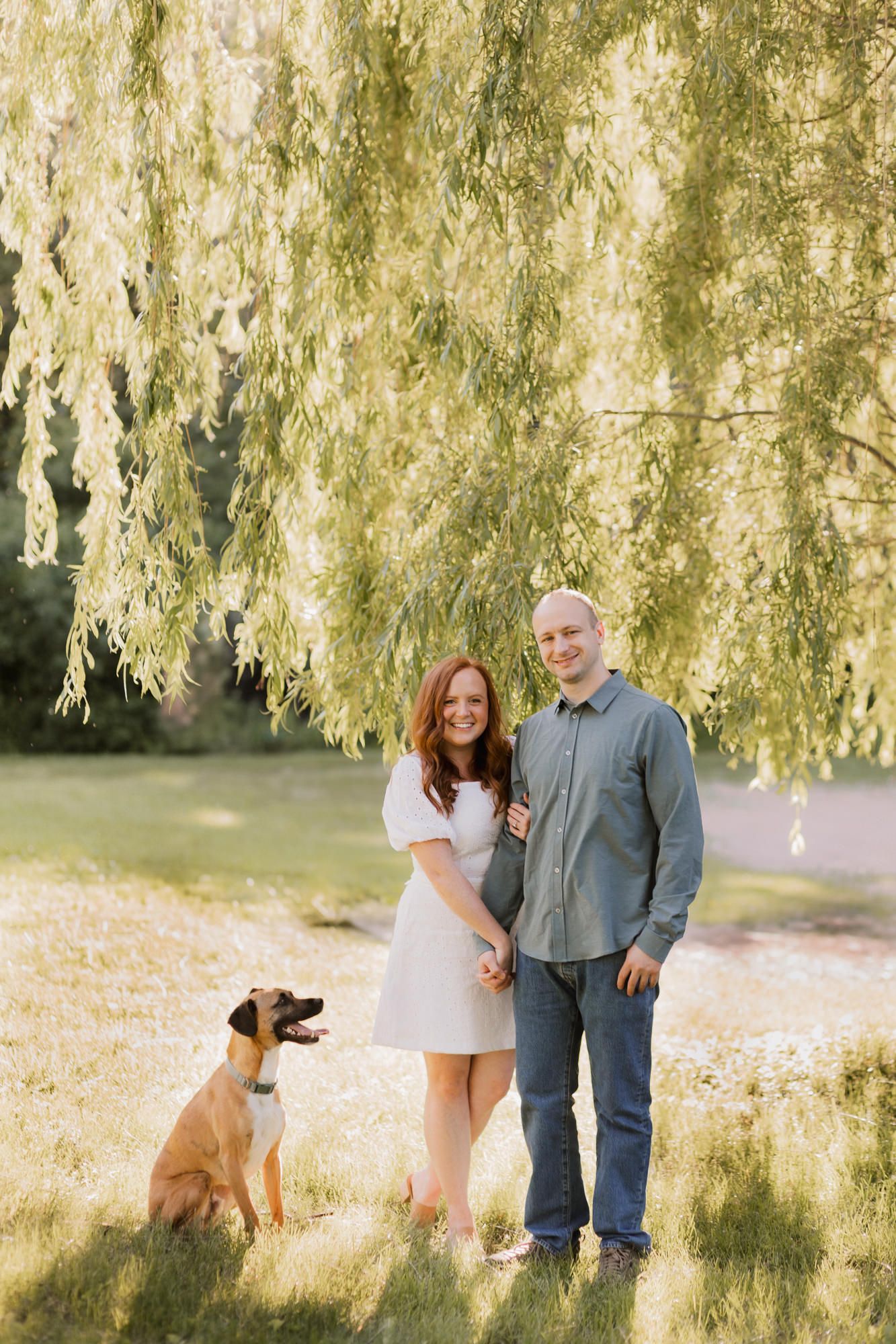 Couple smiling with their dog under a weeping willow tree in a sunny park during an engagement session.