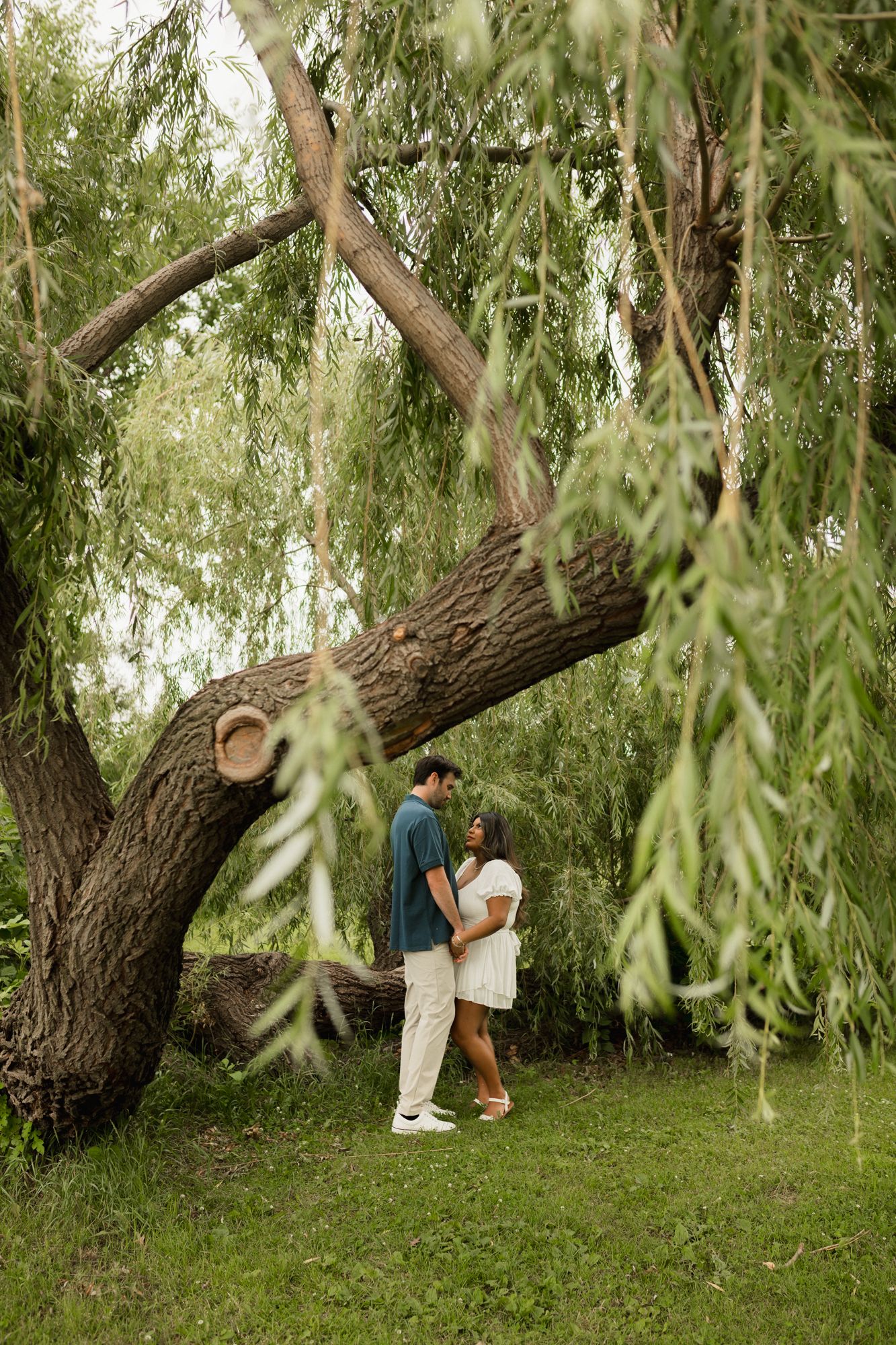 Couple embracing under a large willow tree in a lush green park setting.