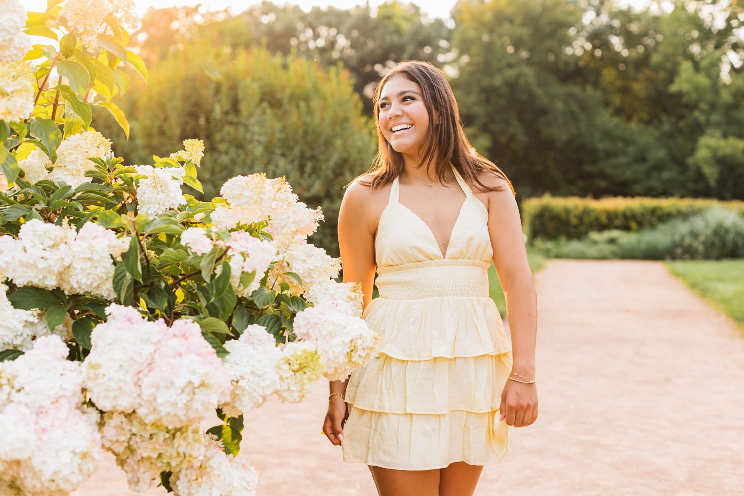 A sun-drenched garden scene features blooming yellow roses against a blurred natural backdrop.