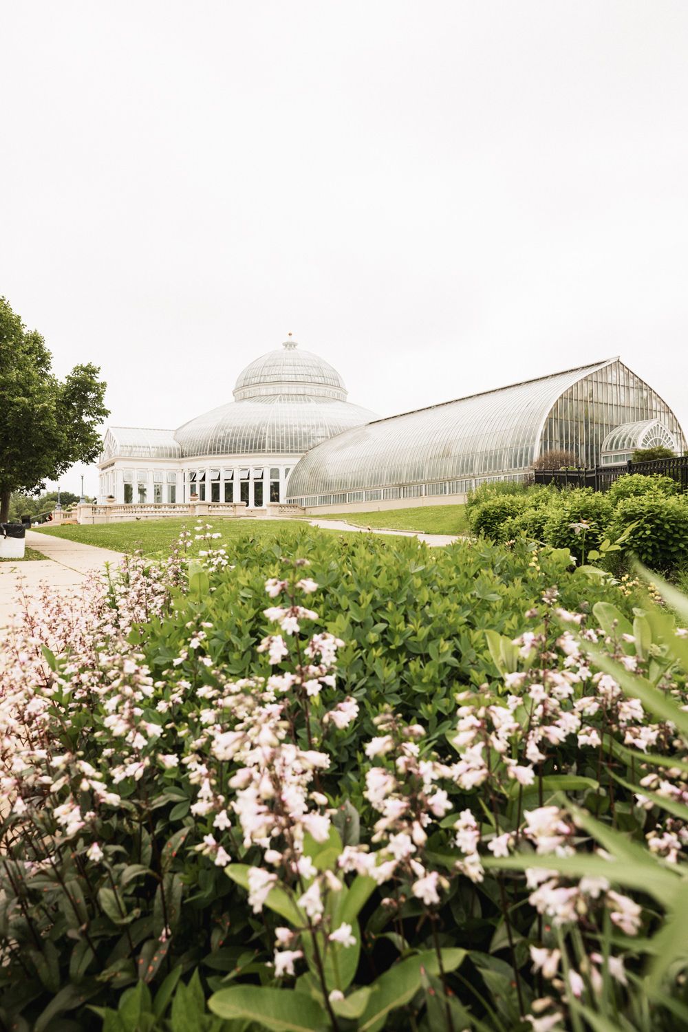 Beautiful glass conservatory with pink flowers blooming in the garden foreground.
