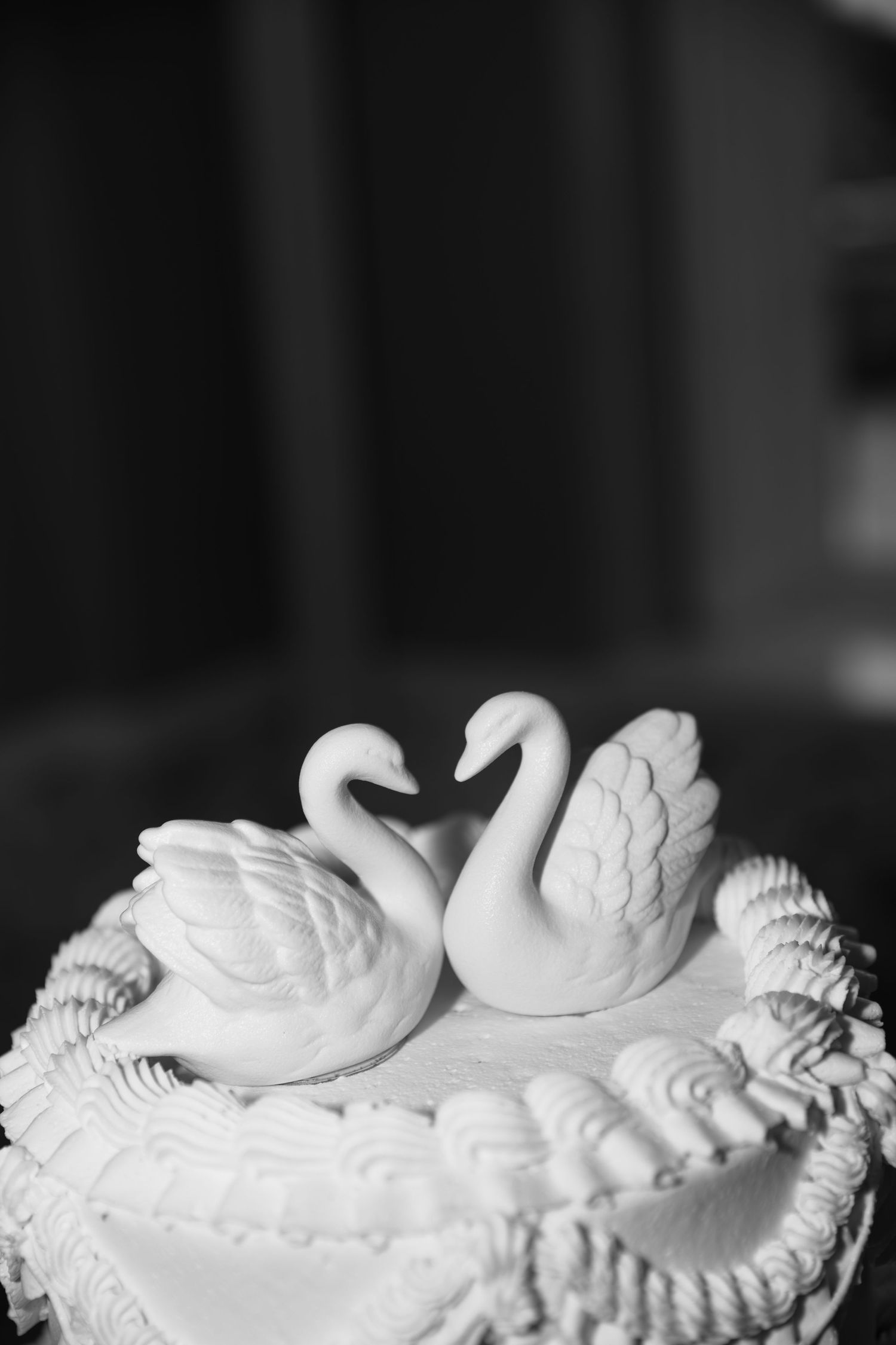 Close-up black and white photo of elegant swan cake toppers on a white wedding cake with decorative frosting.