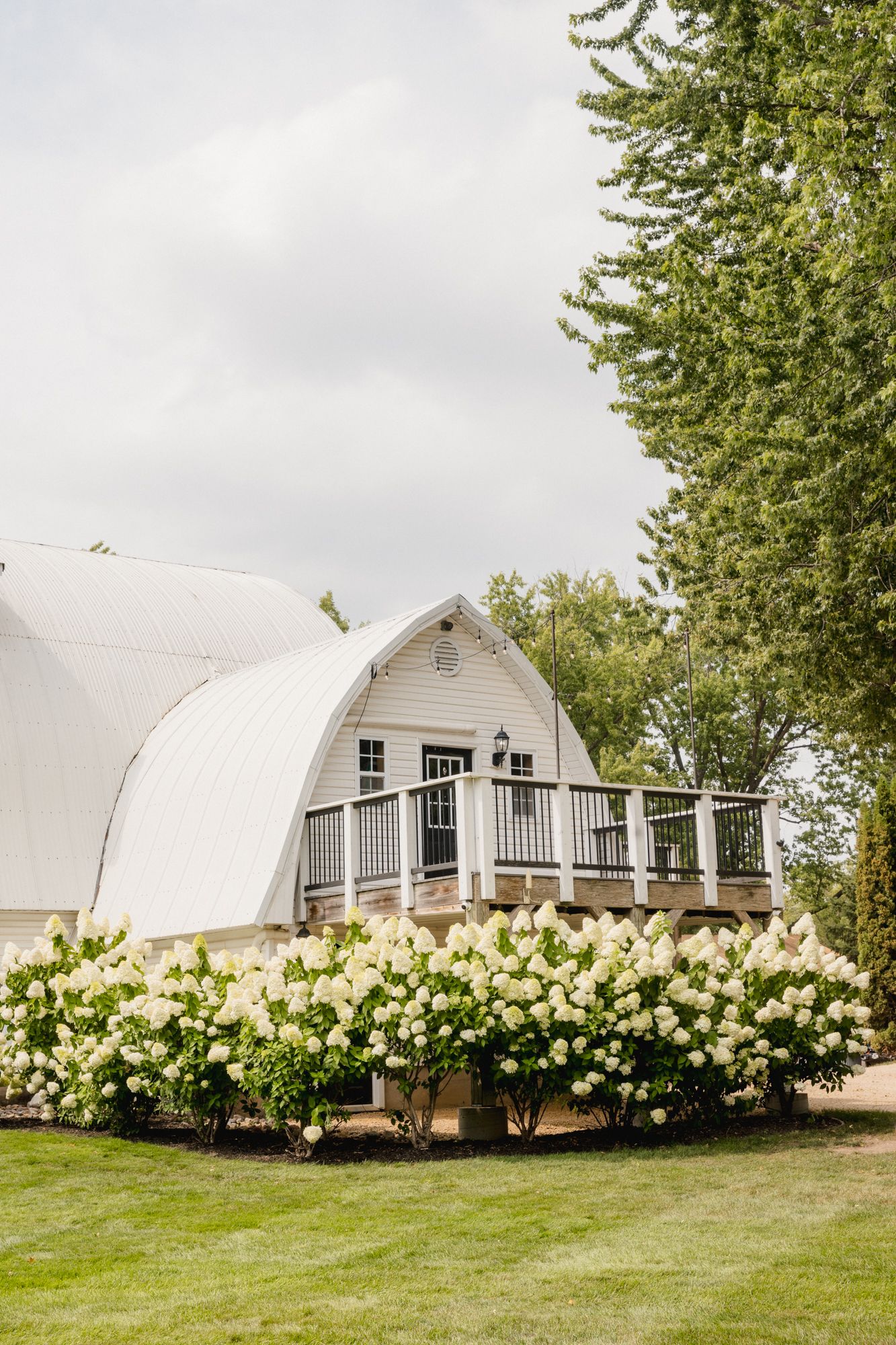 White barn venue with hydrangea bushes and wrap-around deck surrounded by lush green trees.