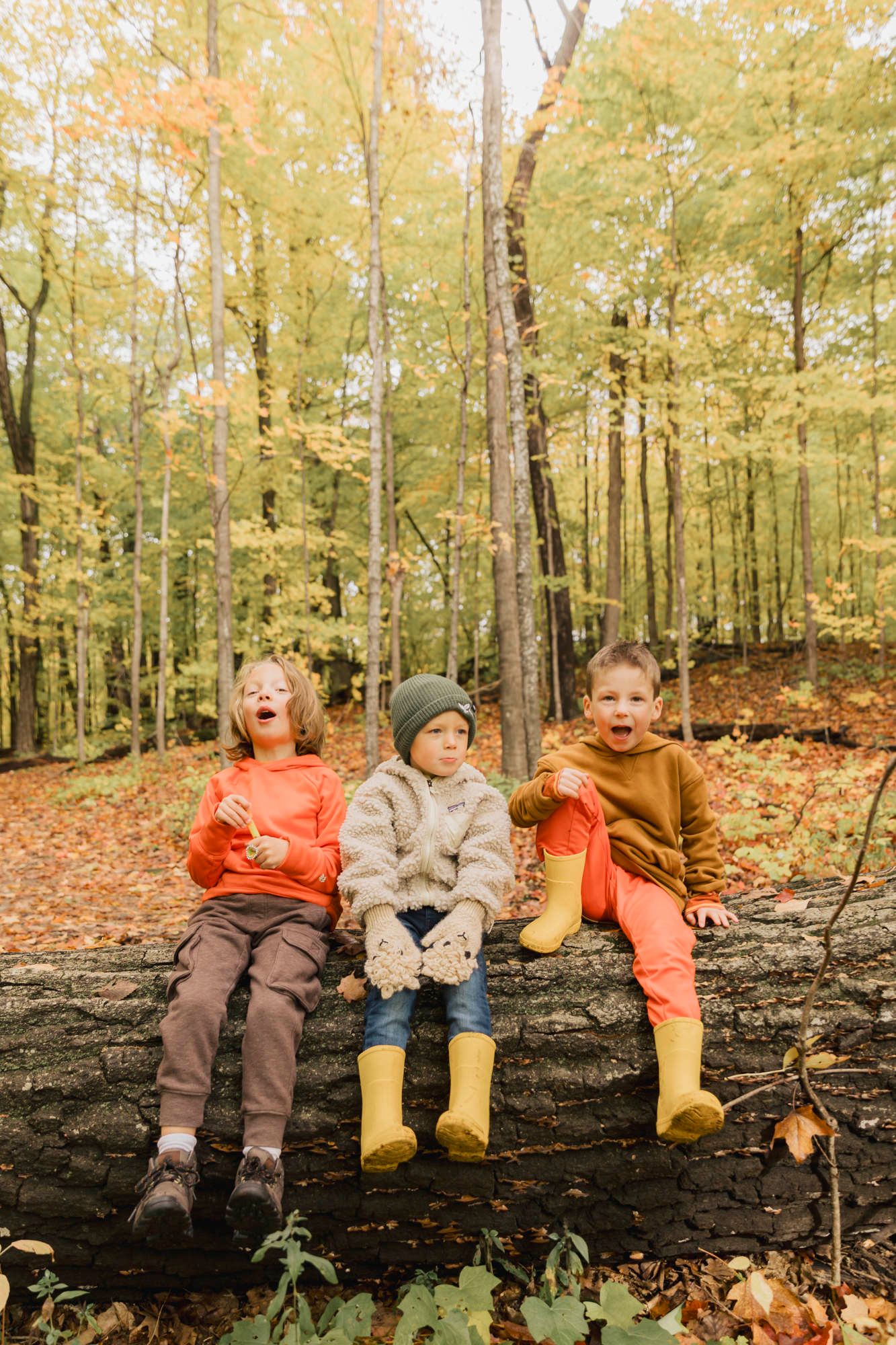 Three children in fall clothing sit on a log laughing in an autumn forest.