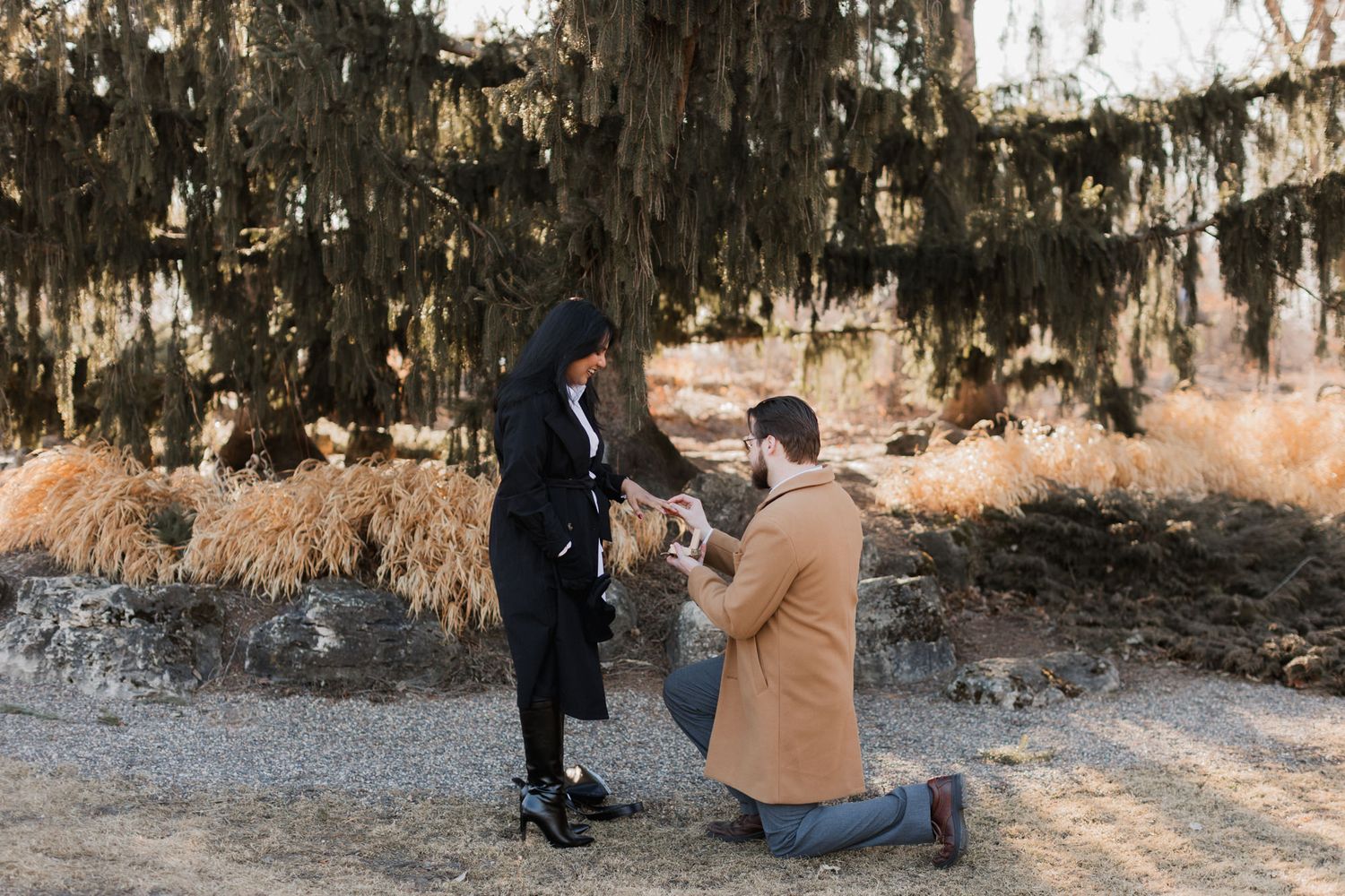 Man proposing on one knee to woman outdoors under moss-covered trees in a romantic proposal moment.