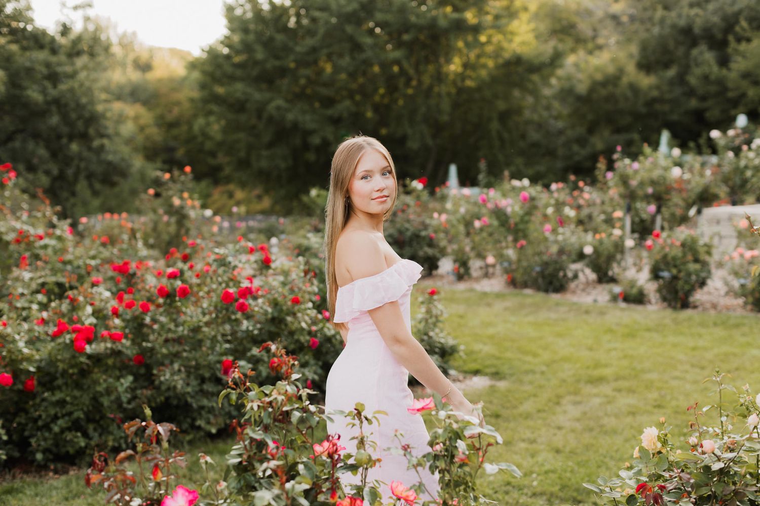 Young woman in white off-shoulder dress standing among blooming red rose bushes in a lush garden.