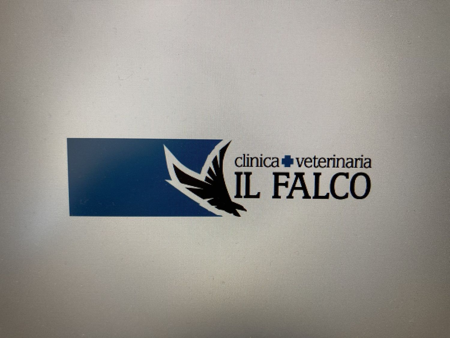 falco