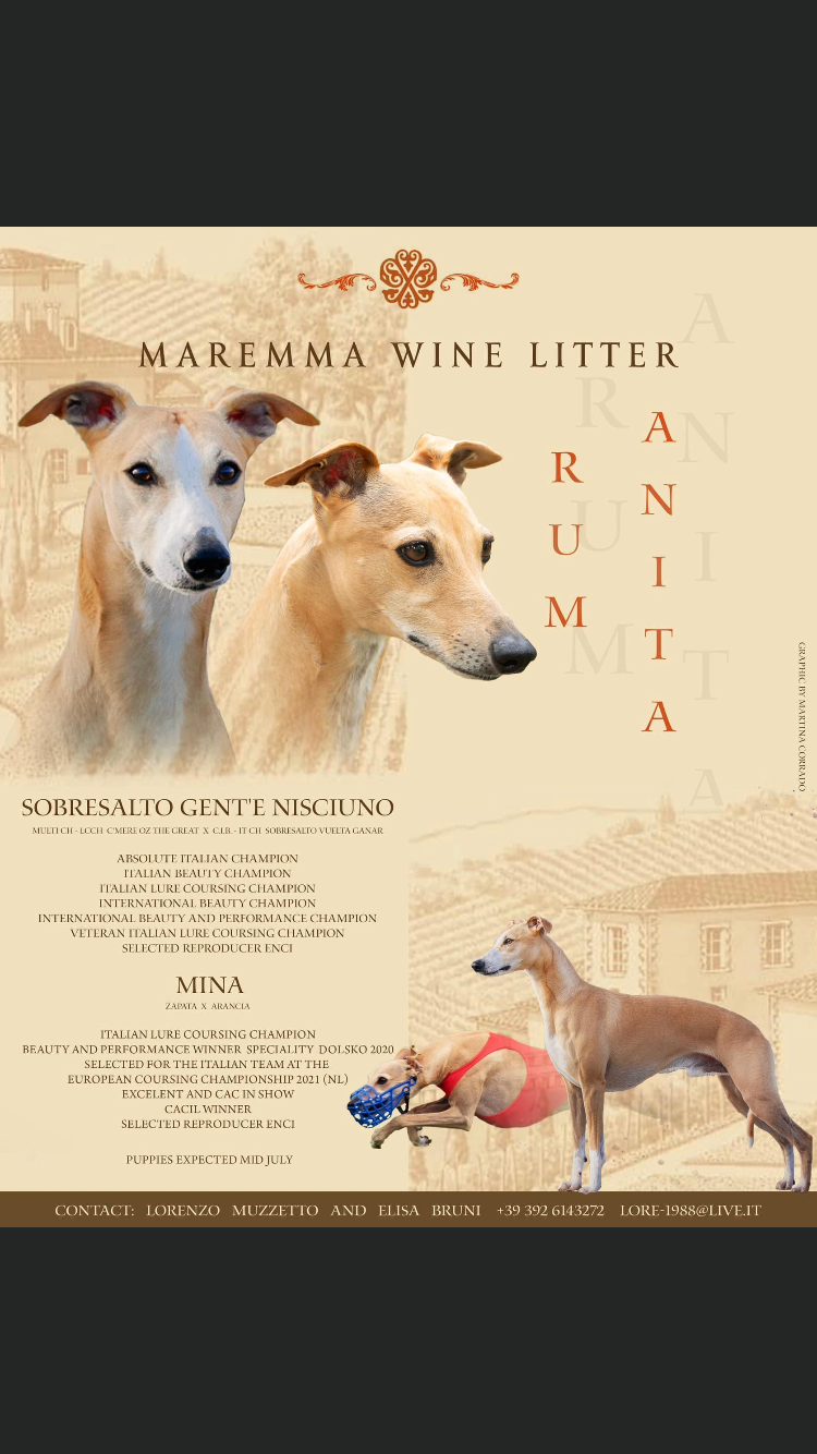 rumxanita