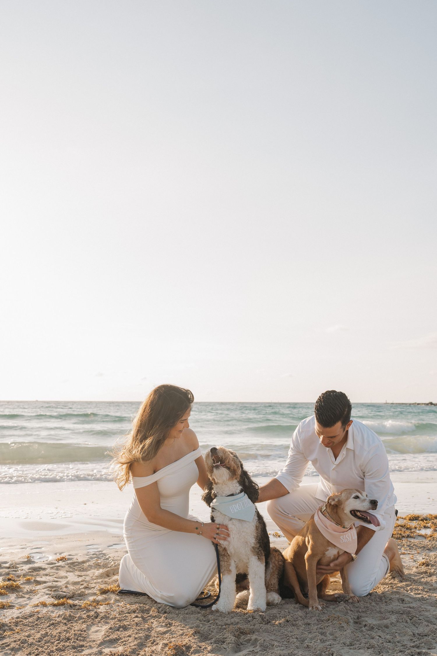 Family relaxes on beach with their two dogs during a sunset photoshoot.