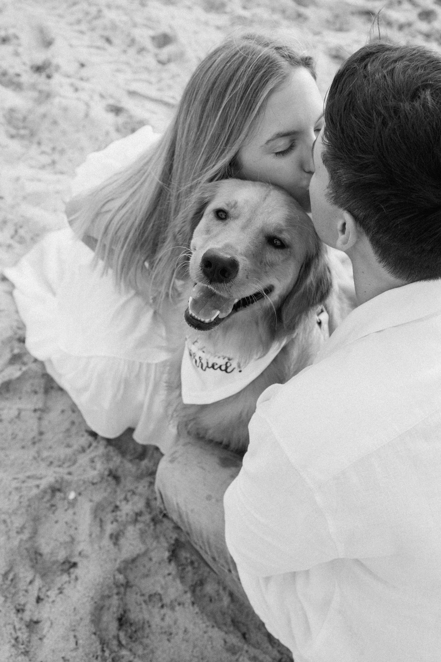 Happy golden retriever with bandana smiling between couple in black and white beach photo.