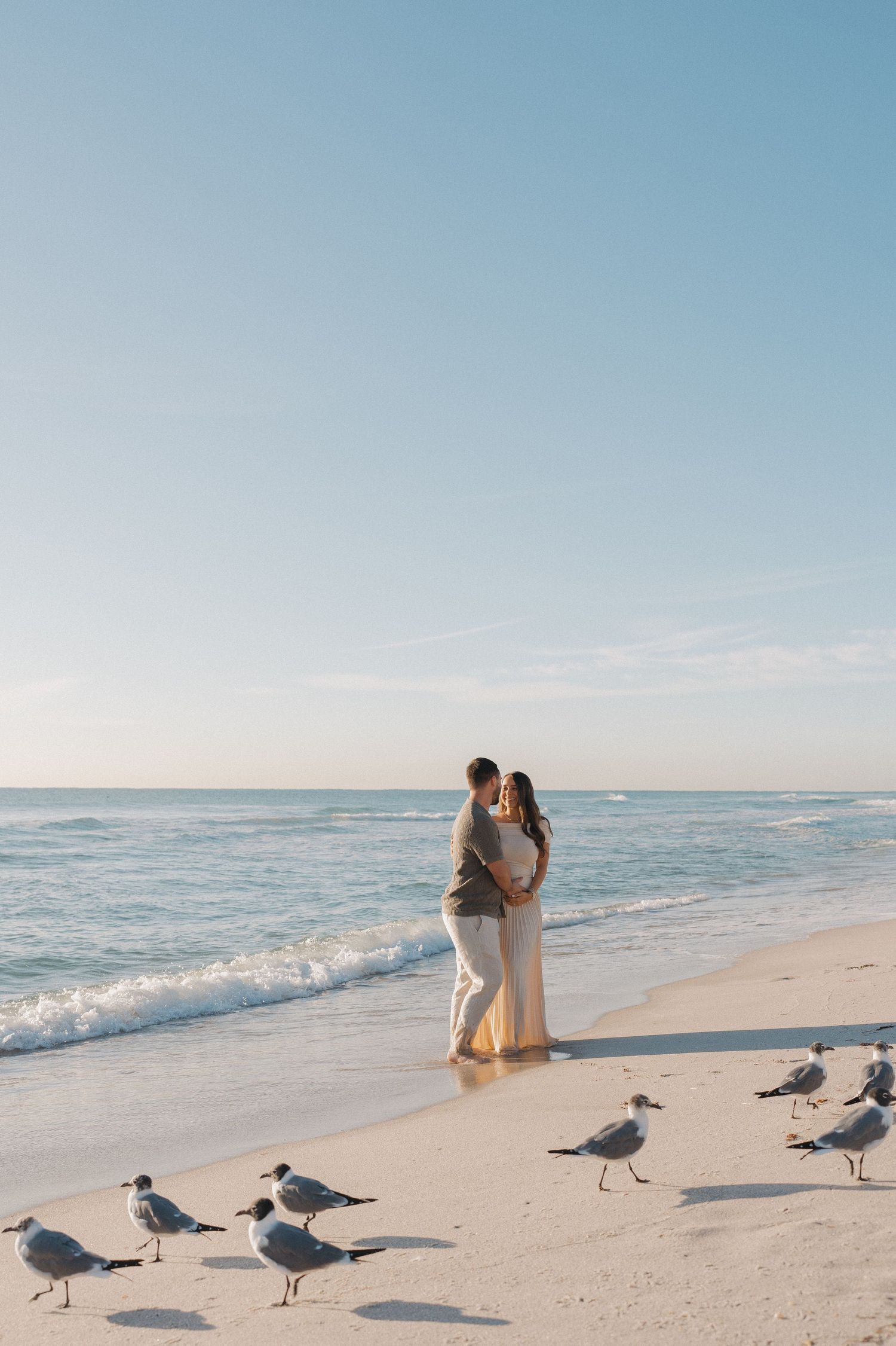 Seagulls gather on a pristine white sand beach during a beautiful sunset.
